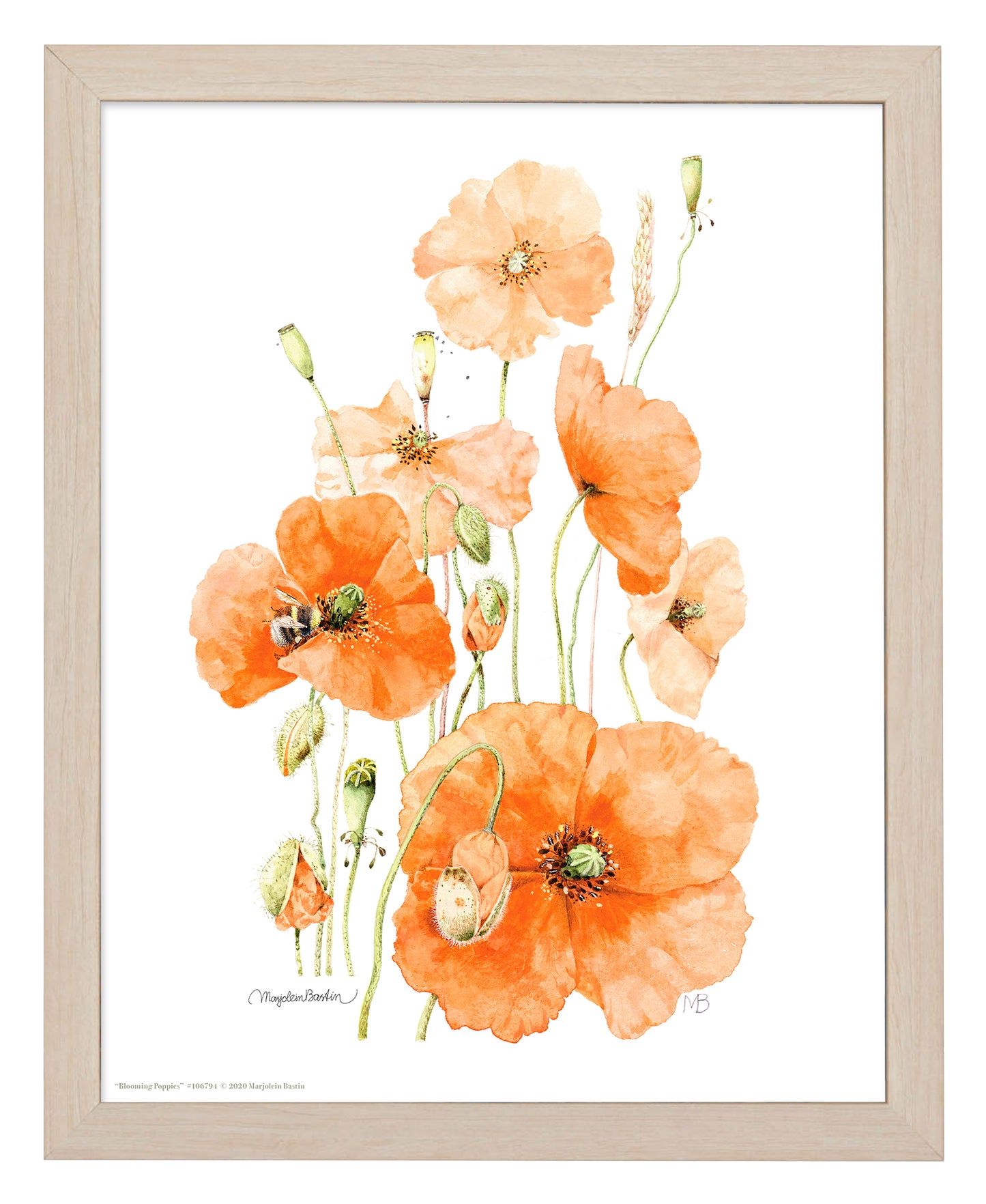 Blooming Poppies - Art Prints