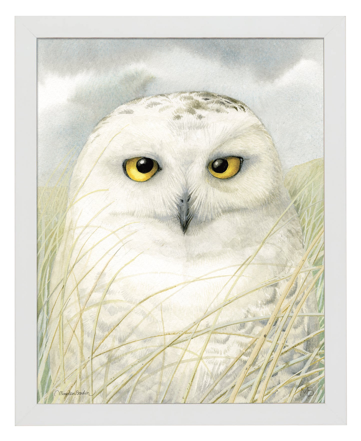 Snowy Owl Wisdom - Art Prints