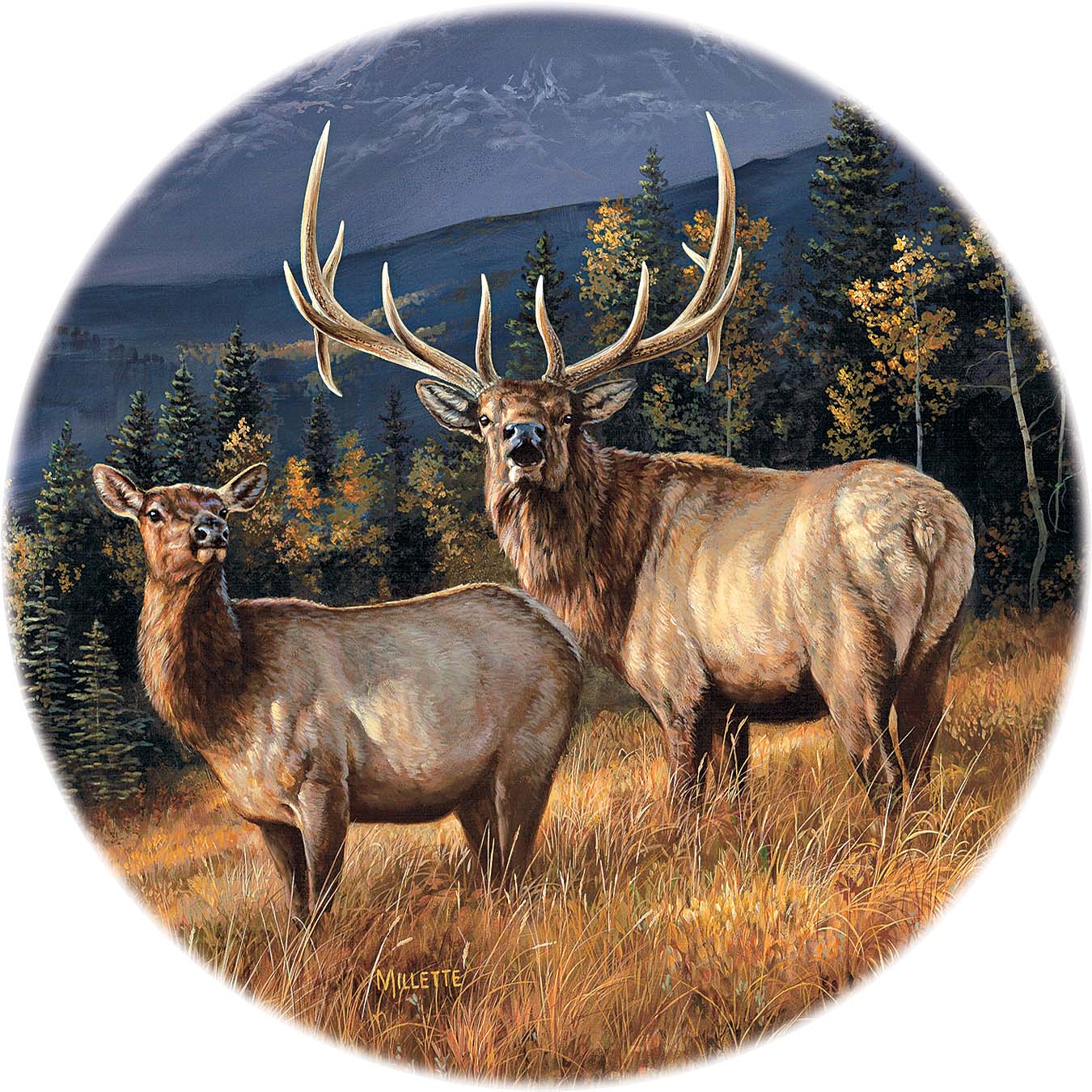 123865_4209101066_7119_ElkCoaster.jpg