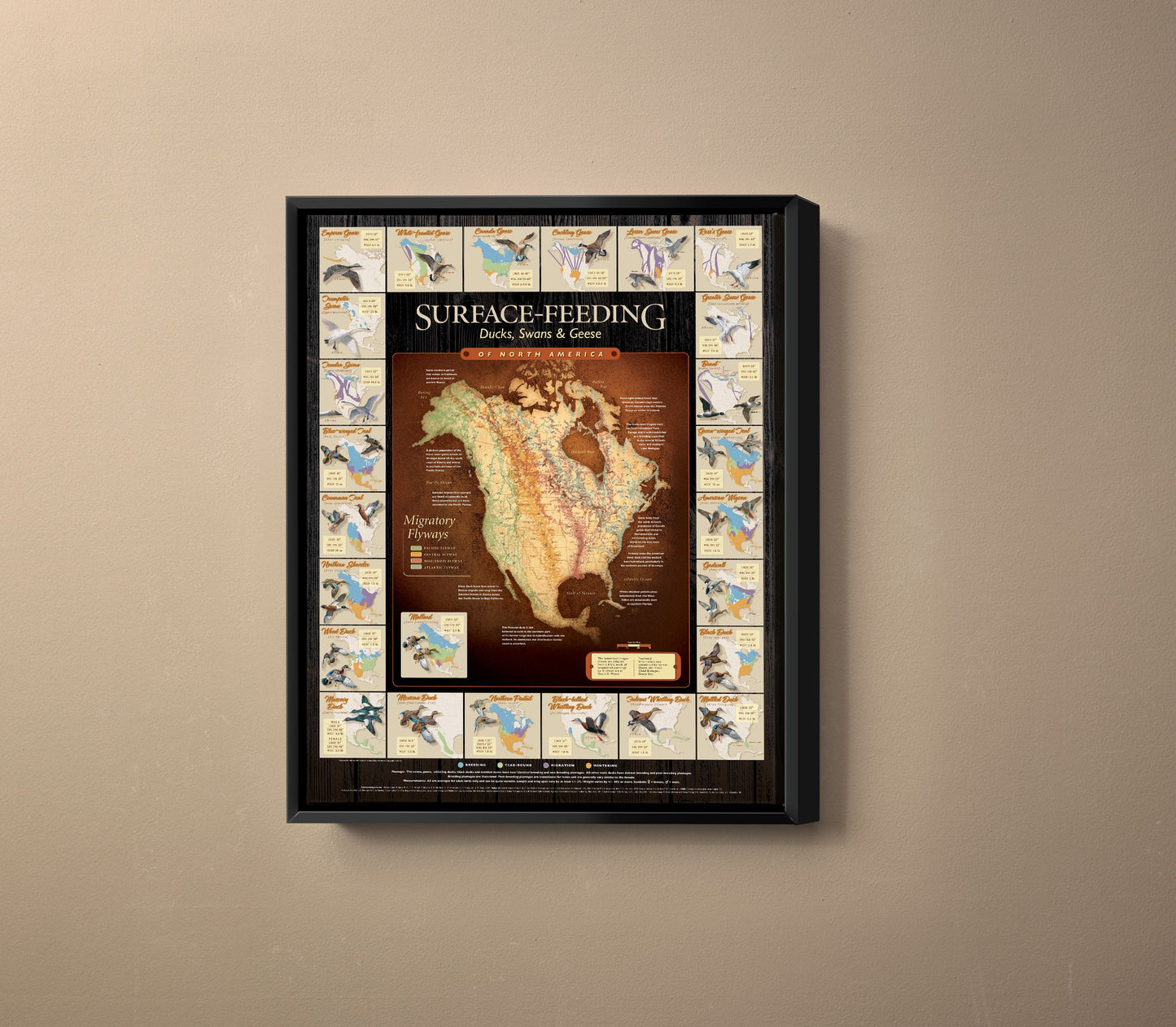 Surface Feeding - 24" x 19" Framed Matte Black Gallery Wrapped