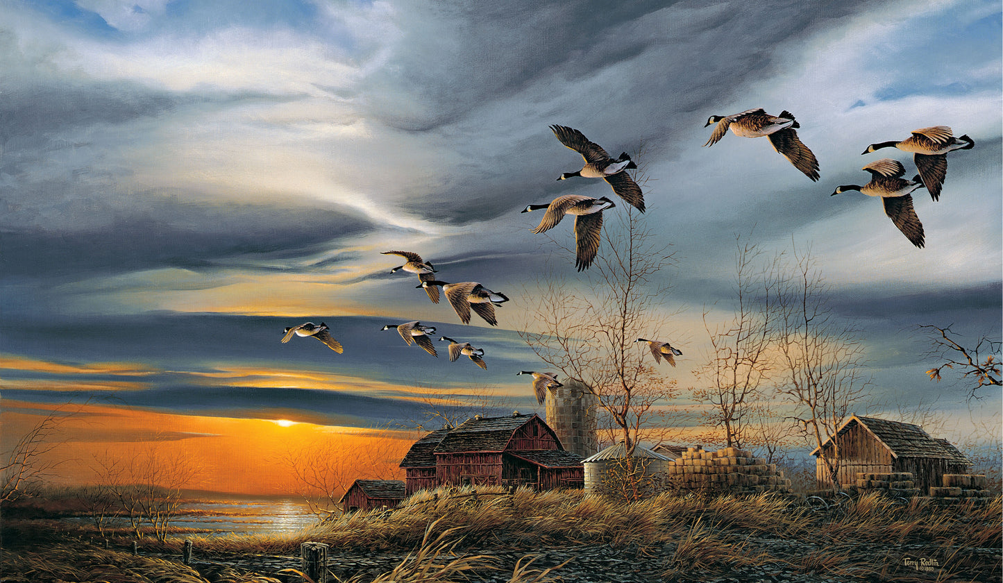 Silent Sunset - Museum Canvas