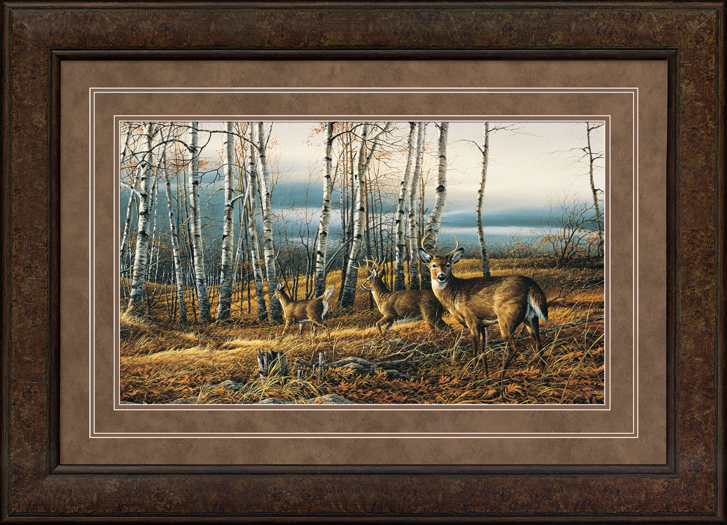 The Birch Line - Elite Print