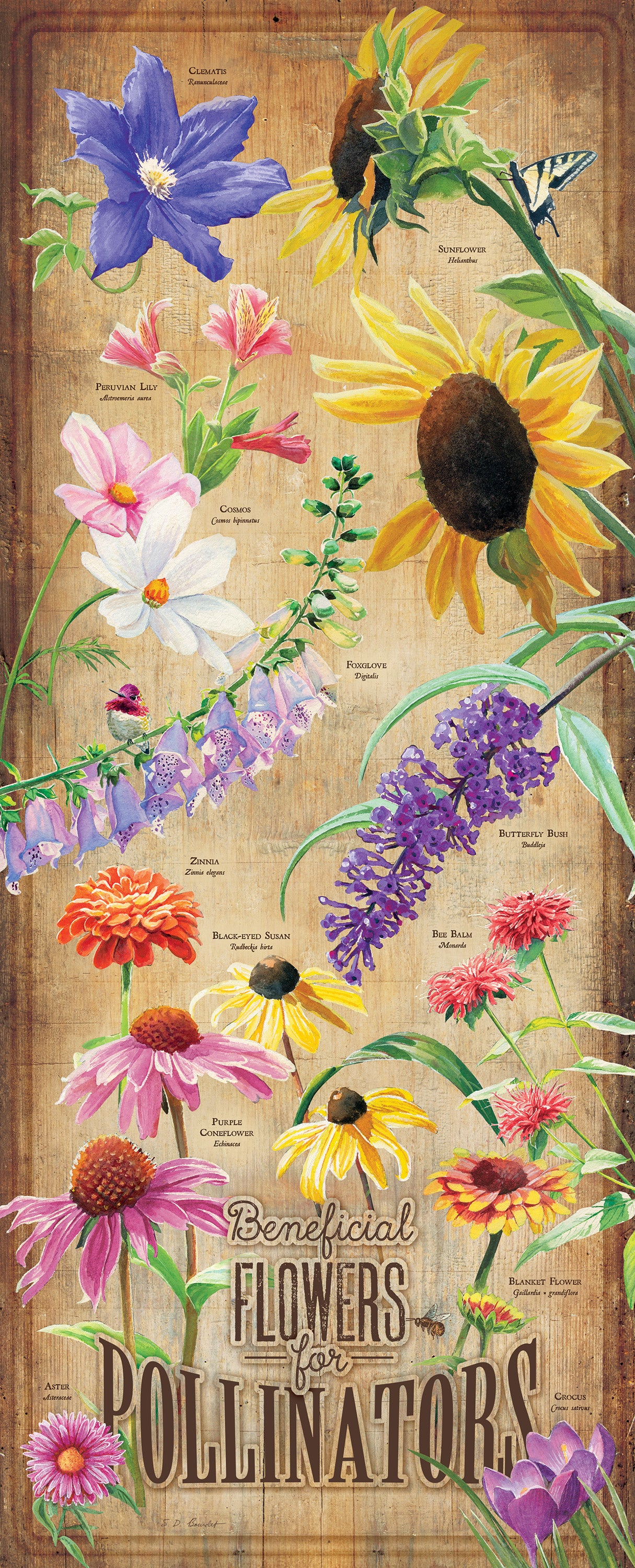 Flower ID Chart - 12" x 30" Wood Sign