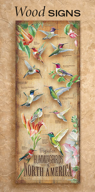 Hummingbirds of North America - 30" x 12" Wood Sign