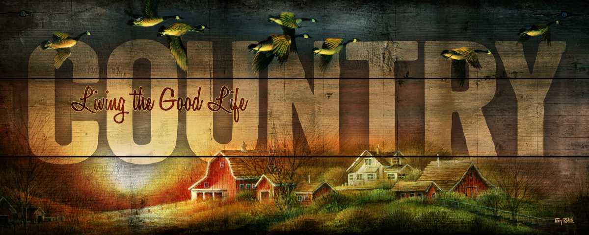 Nostalgic Country - 12" x 30" Wood Sign