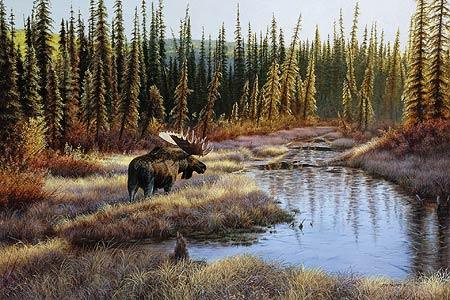 Lightscape-Moose - 24" x 36" Framed Gallery Canvas