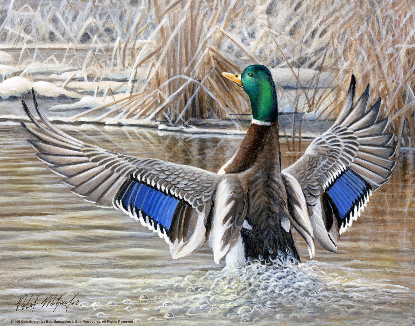 Cold Stretch - Art Prints