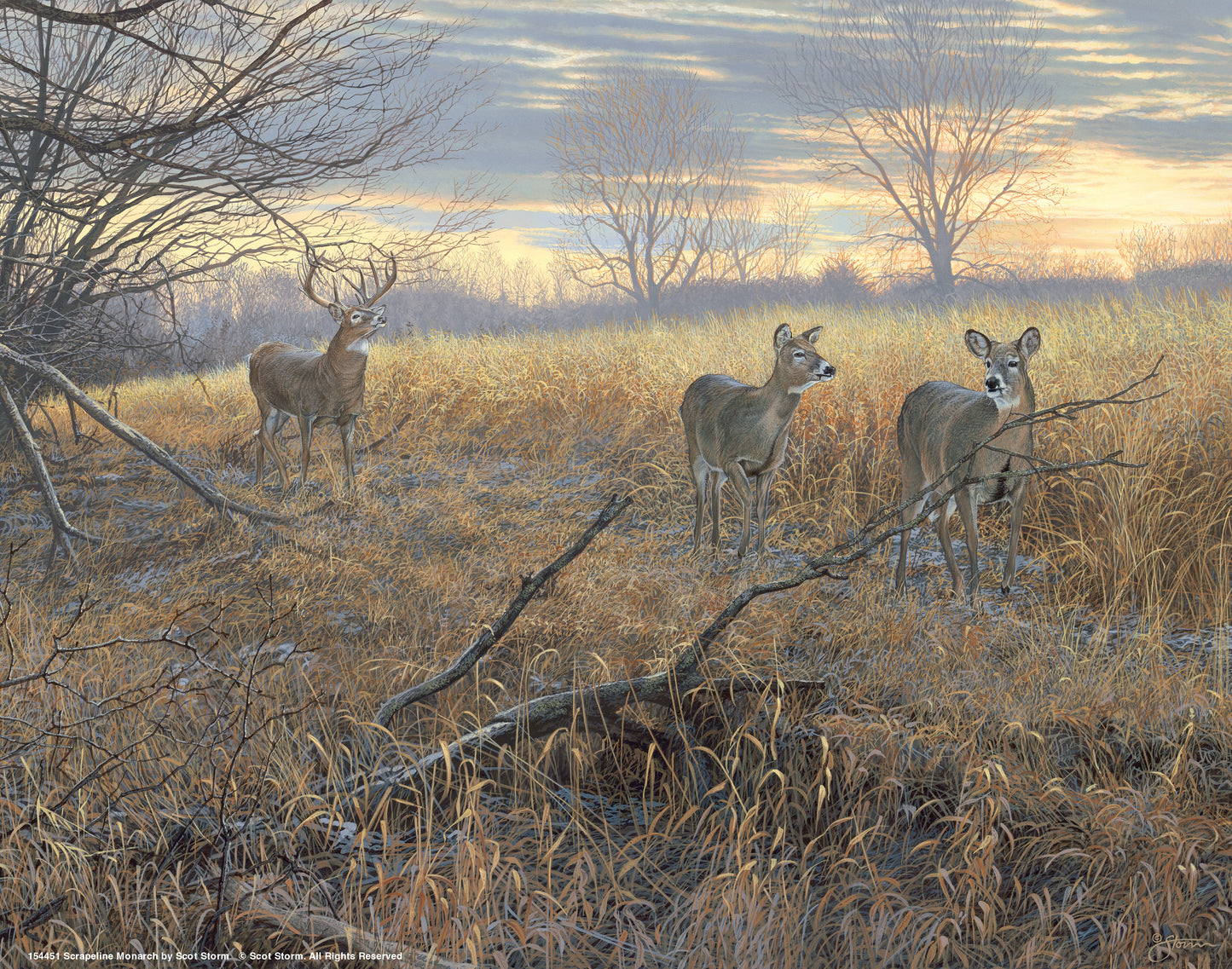Scrapeline Monarch - Art Prints