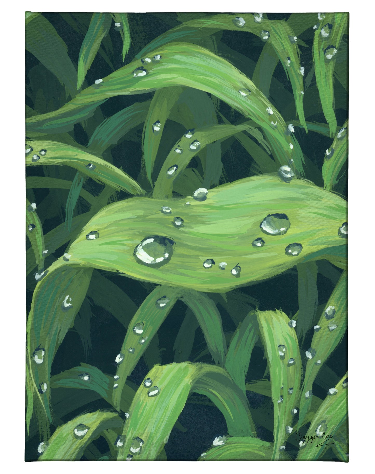 Morning Dew - 13" x 18" Gallery Wrapped Canvas