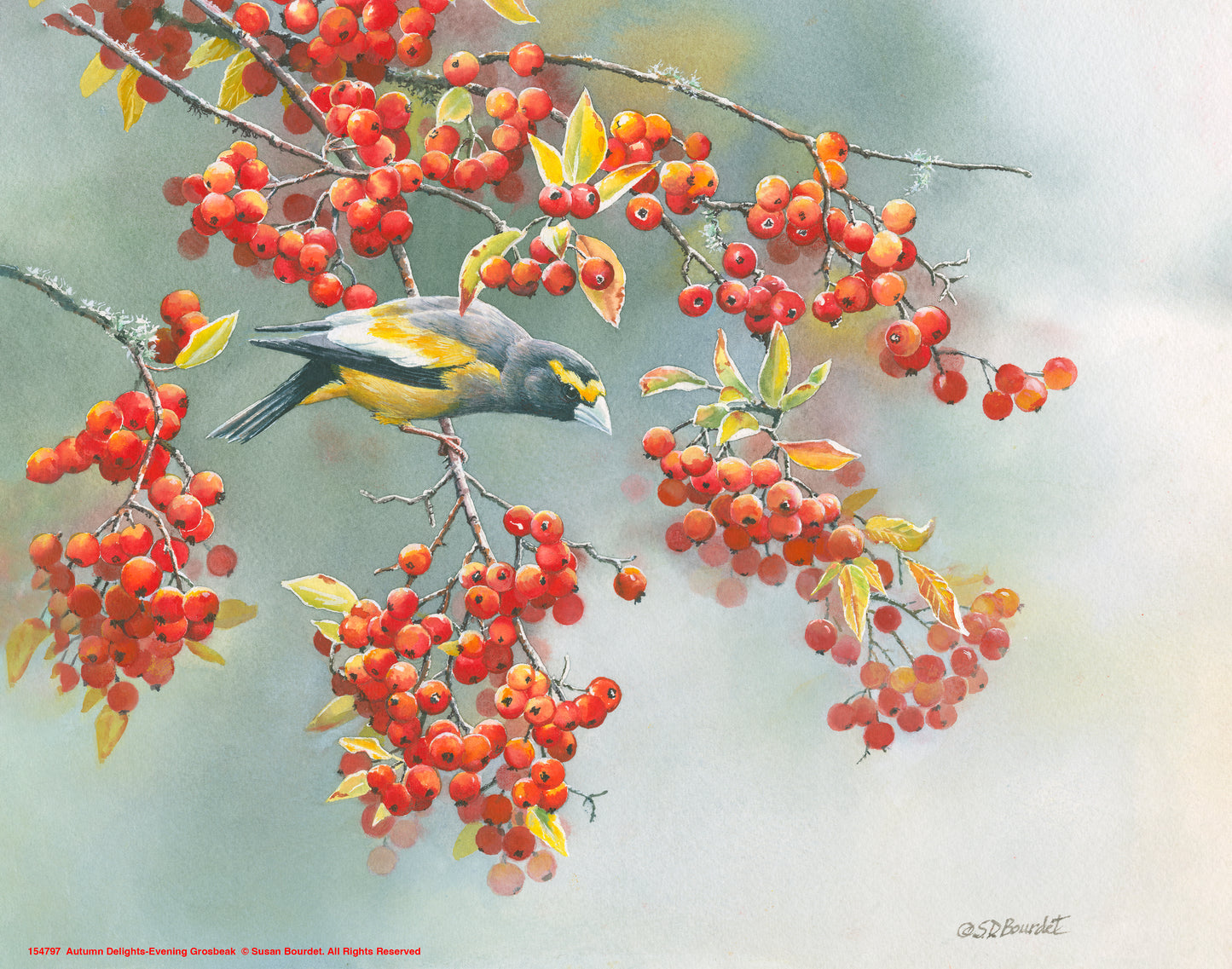 Autumn Delights - Art Prints
