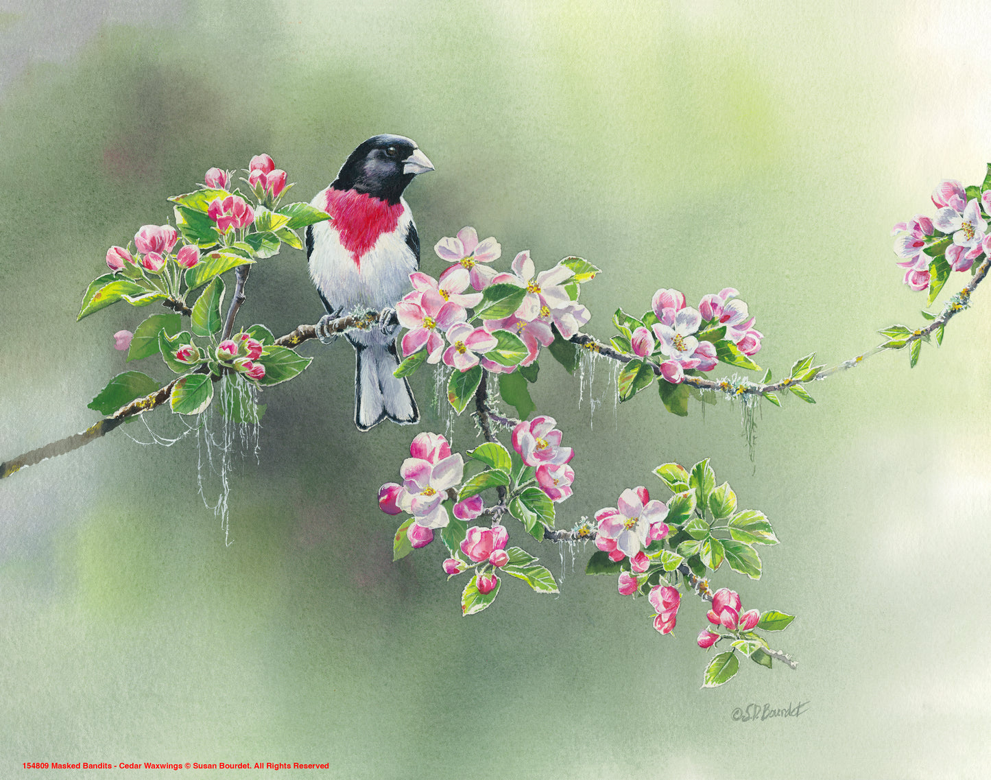 Woodland Spring - Art Prints