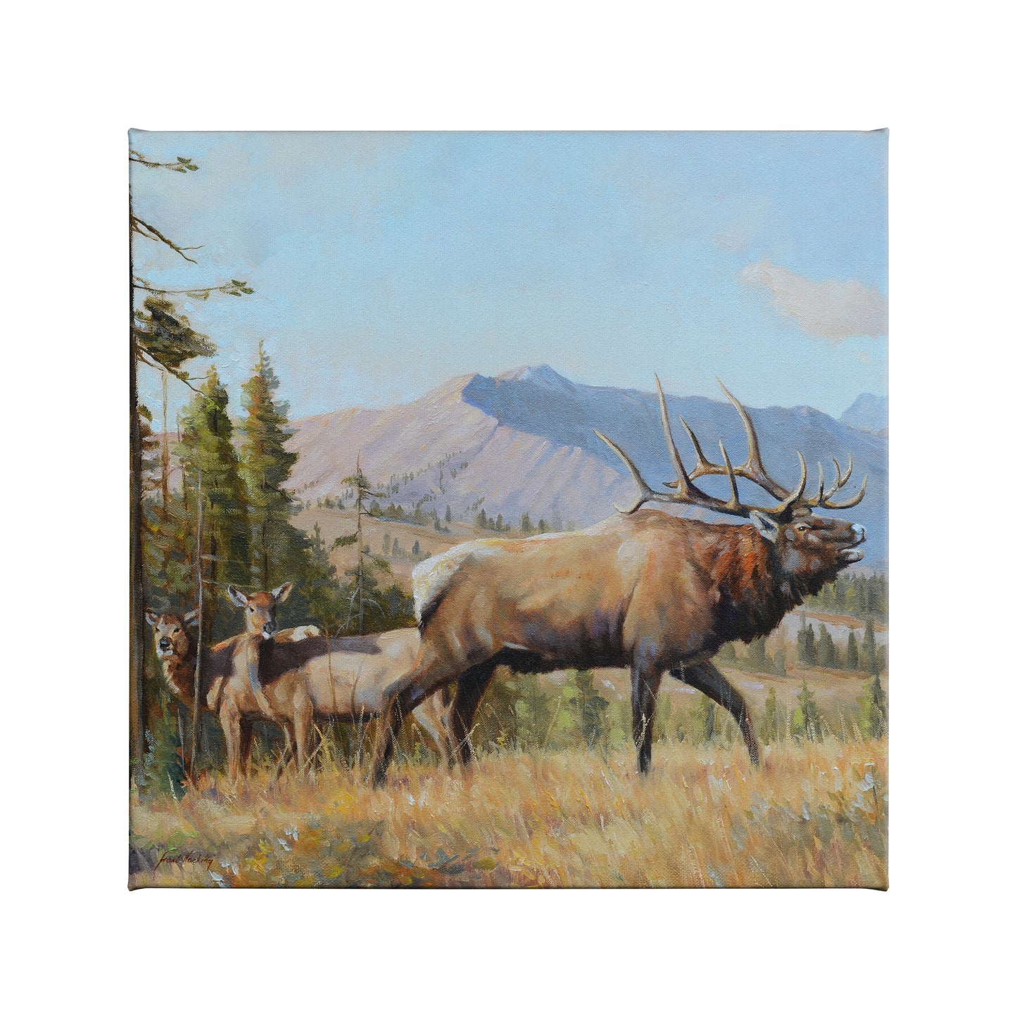 Answering the Call - 14" x 14" Gallery Wrapped Canvas