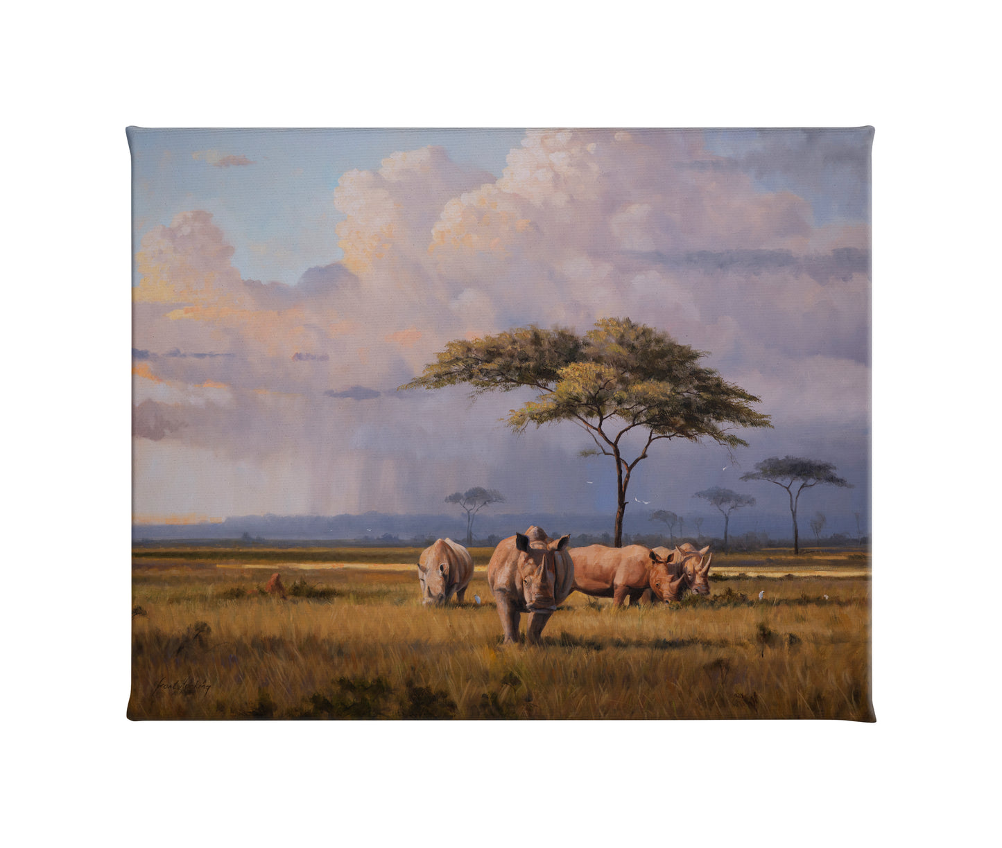 The Plains of Africa - 16" x 20.5" Gallery Wrapped Canvas