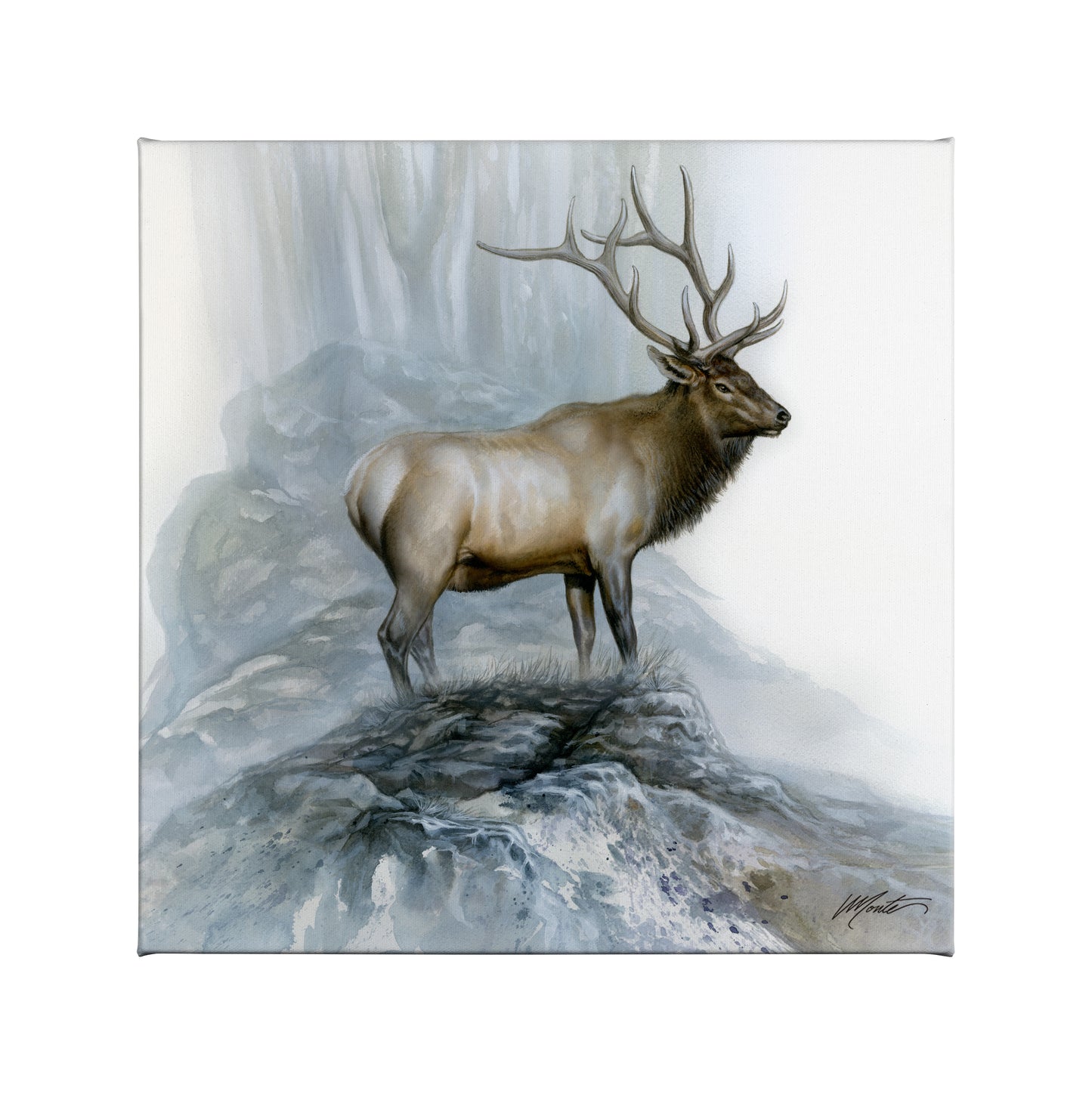 The Highlander - 14" x 14" Gallery Wrapped Canvas