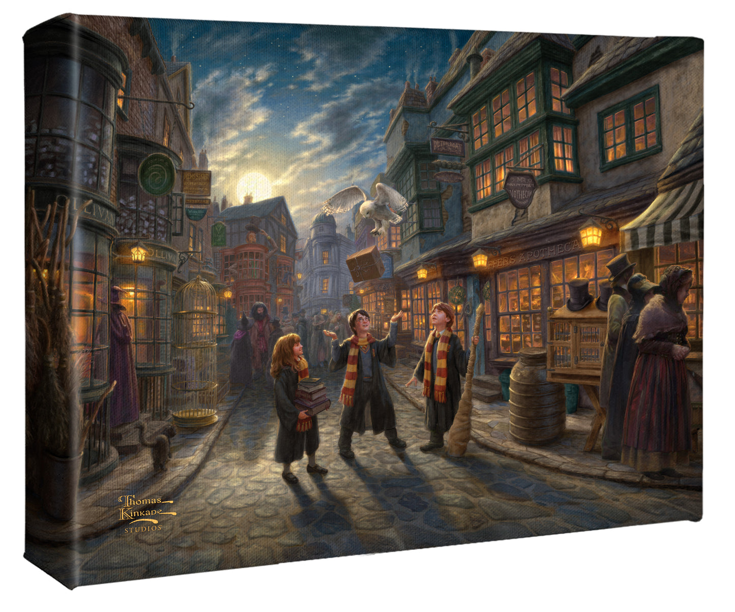 Harry Potter™ Diagon Alley™ - 8" x 10" Gallery Wrapped Canvas
