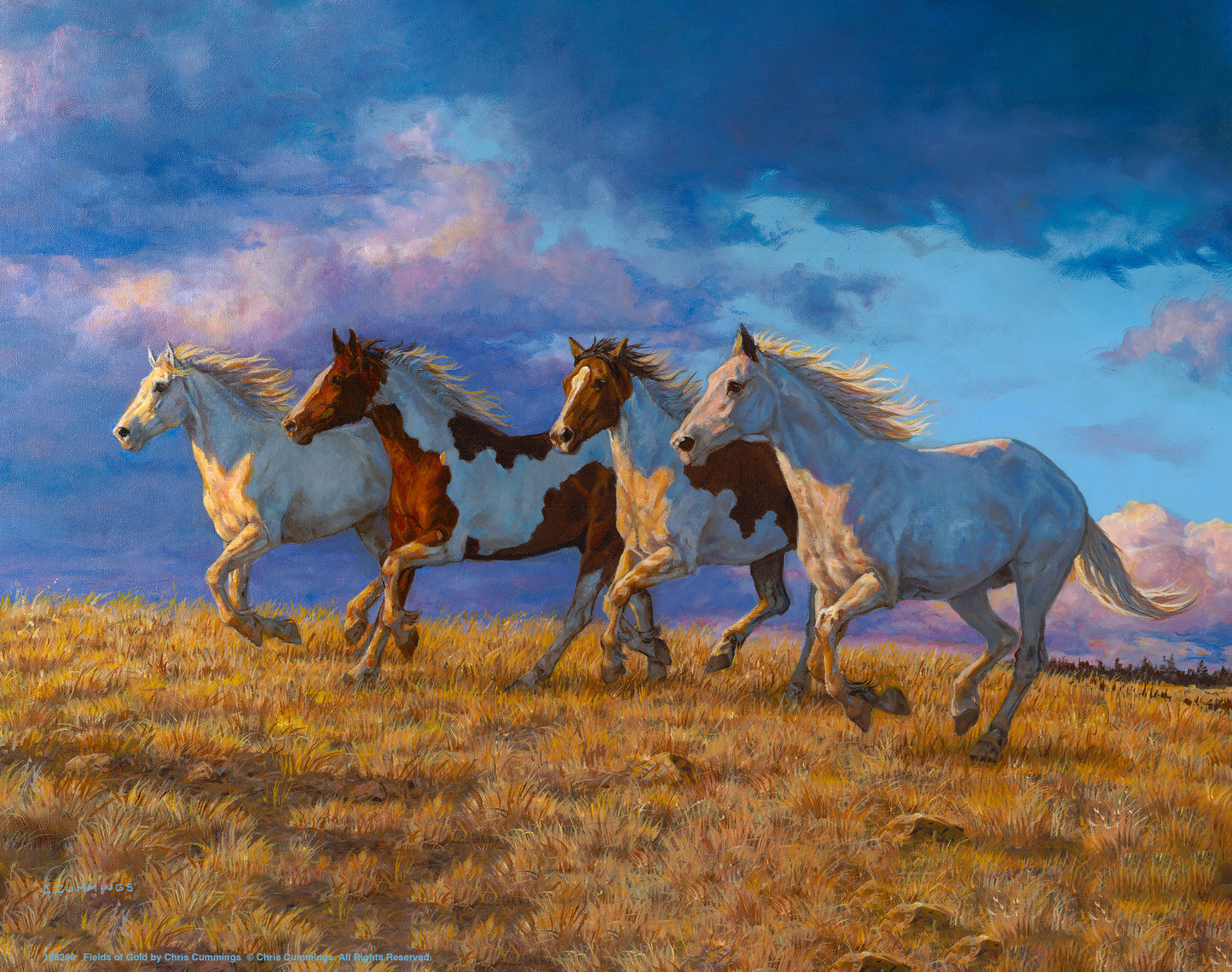 Fields of Gold - Art Prints