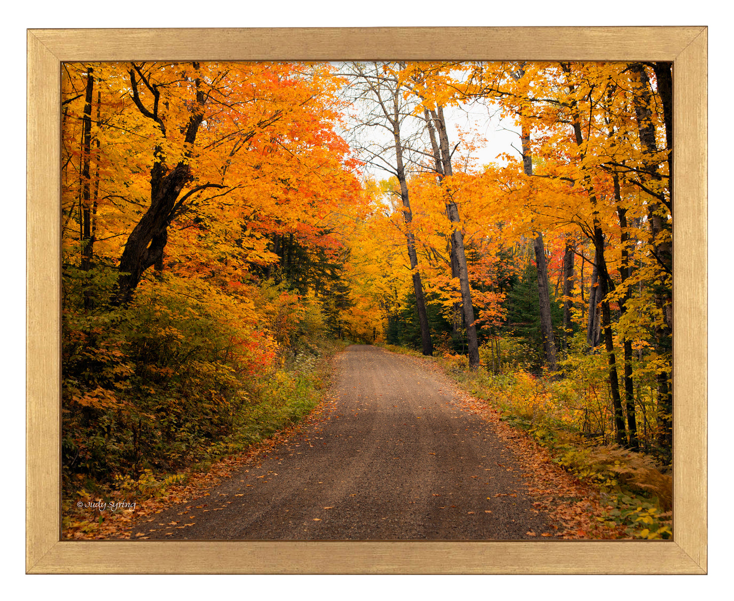 Round the Bend_Art Prints