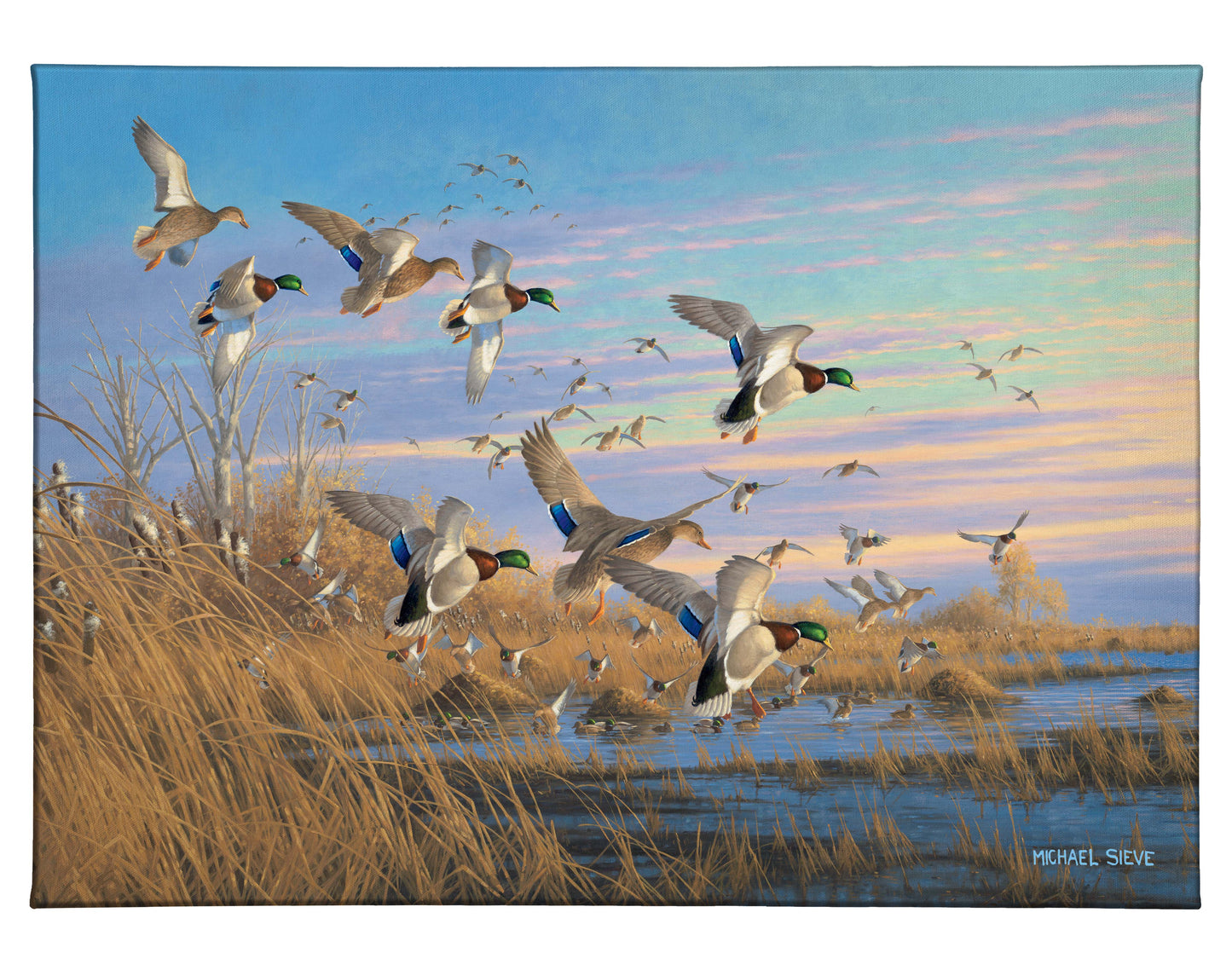 Dropping in Mallards 13" x 18" Gallery Wrapped Canvas - Official Ducks Unlimited Art