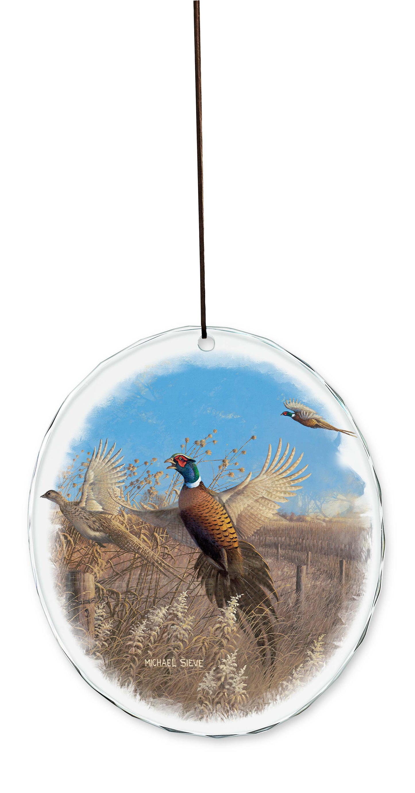 Flying Colors - Pheasants - Suncatcher