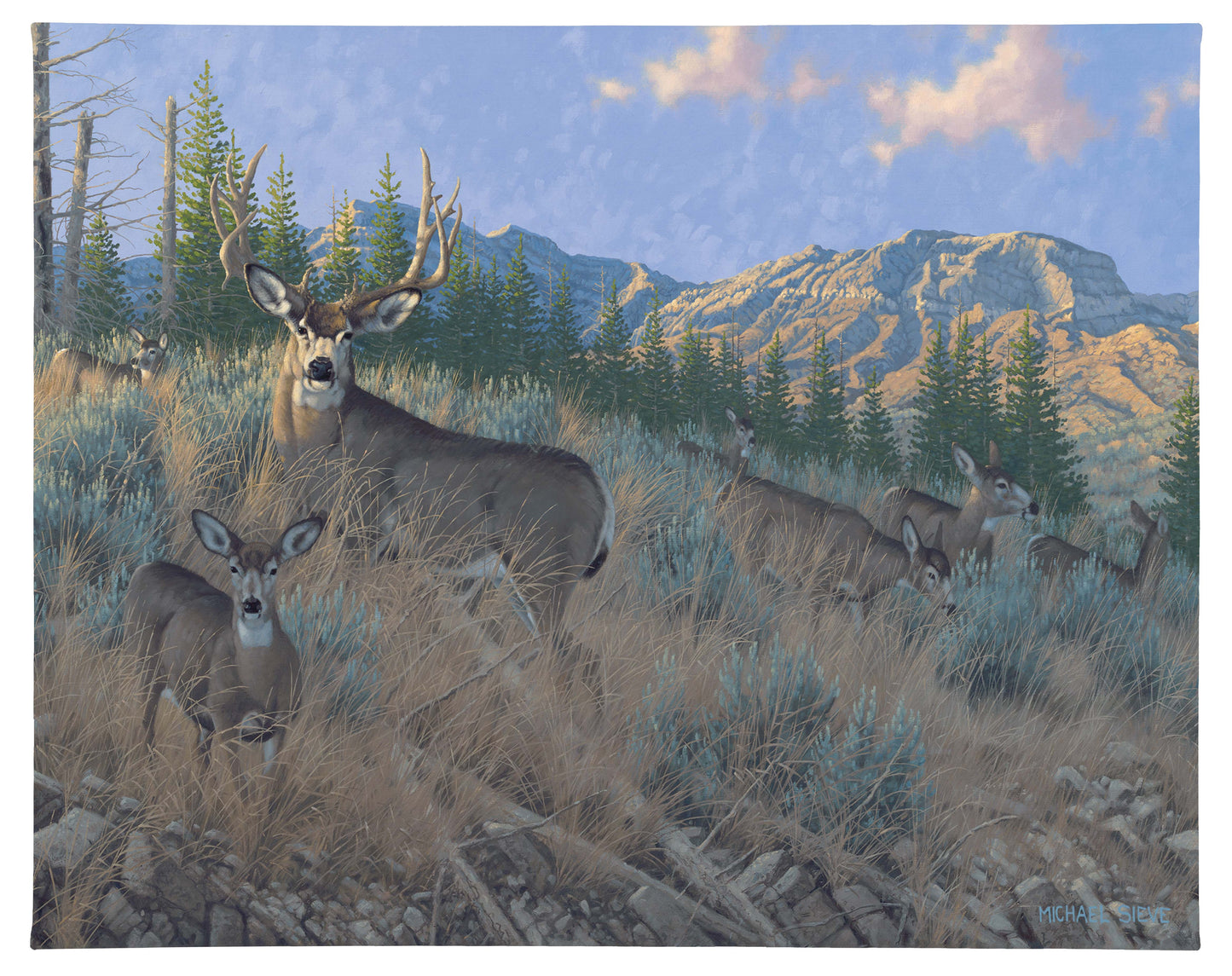 Magic Hour - Mule Deer - 19" x 24" Gallery Wrapped Canvas
