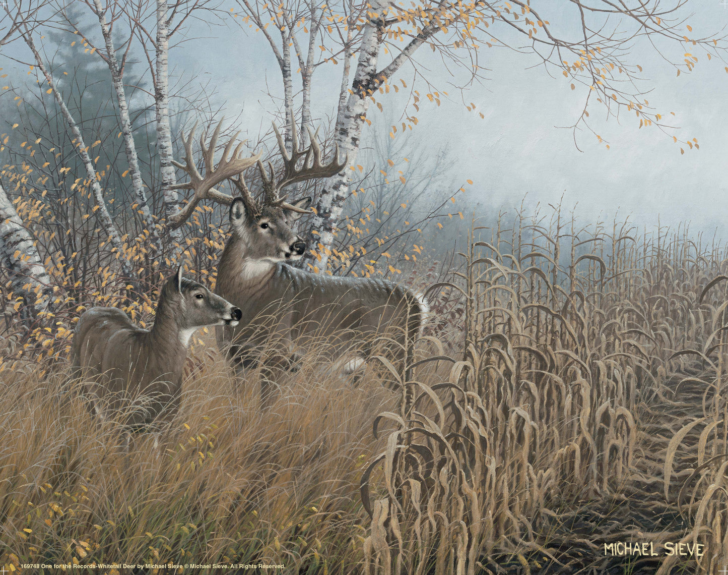 One for the Records - Deer - Art Prints