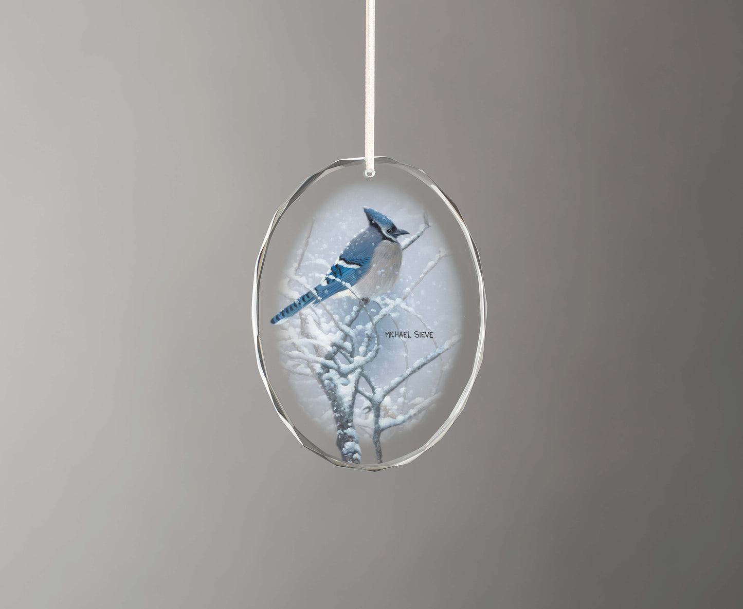 Blue Jay Study - Oval Glass Ornament