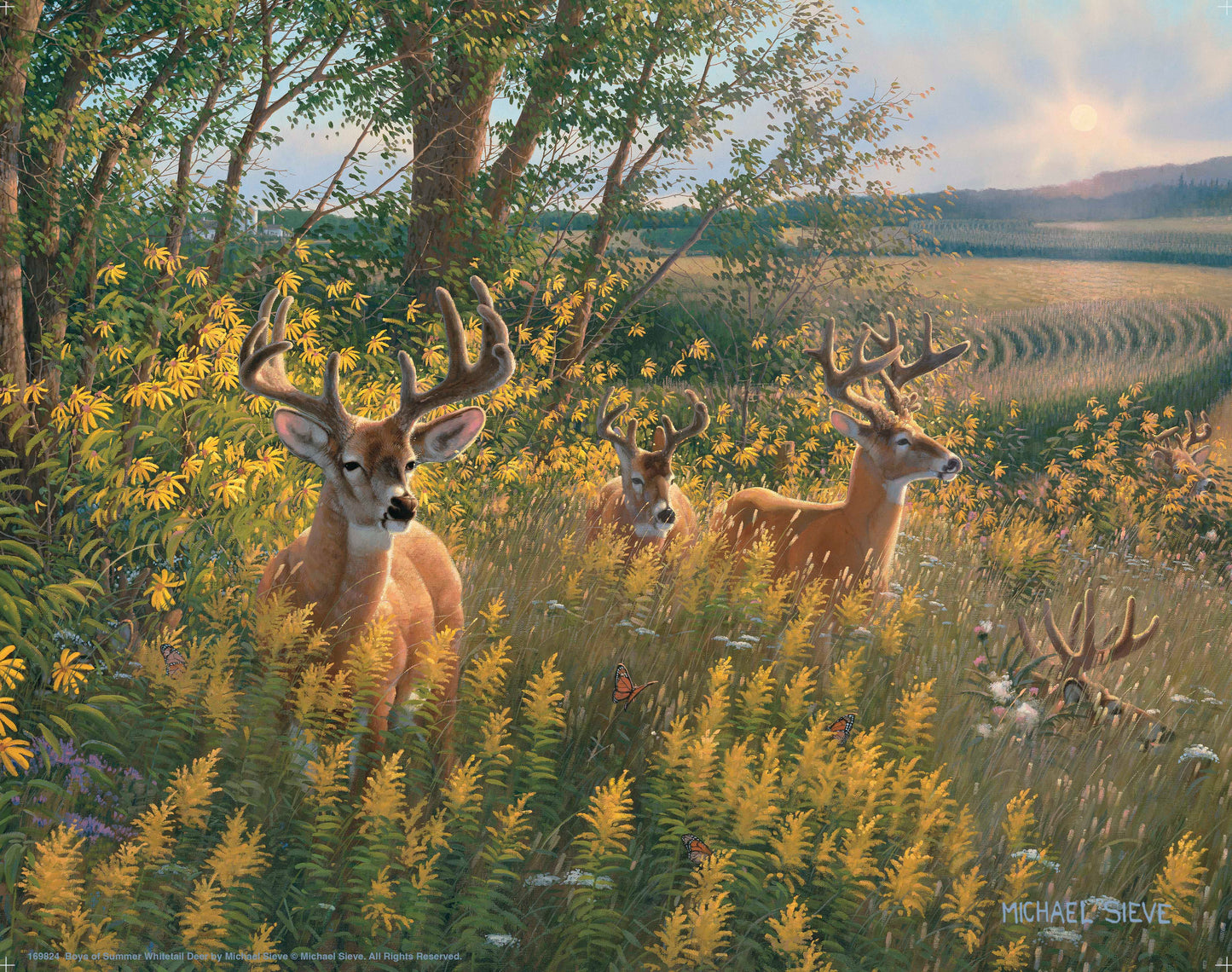 Boys of Summer Whitetail Deer - Art Prints