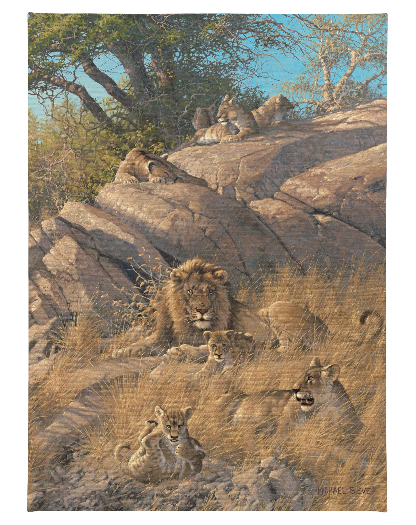 Family Pride Lions - 18" x 13" Gallery Wrapped Canvas