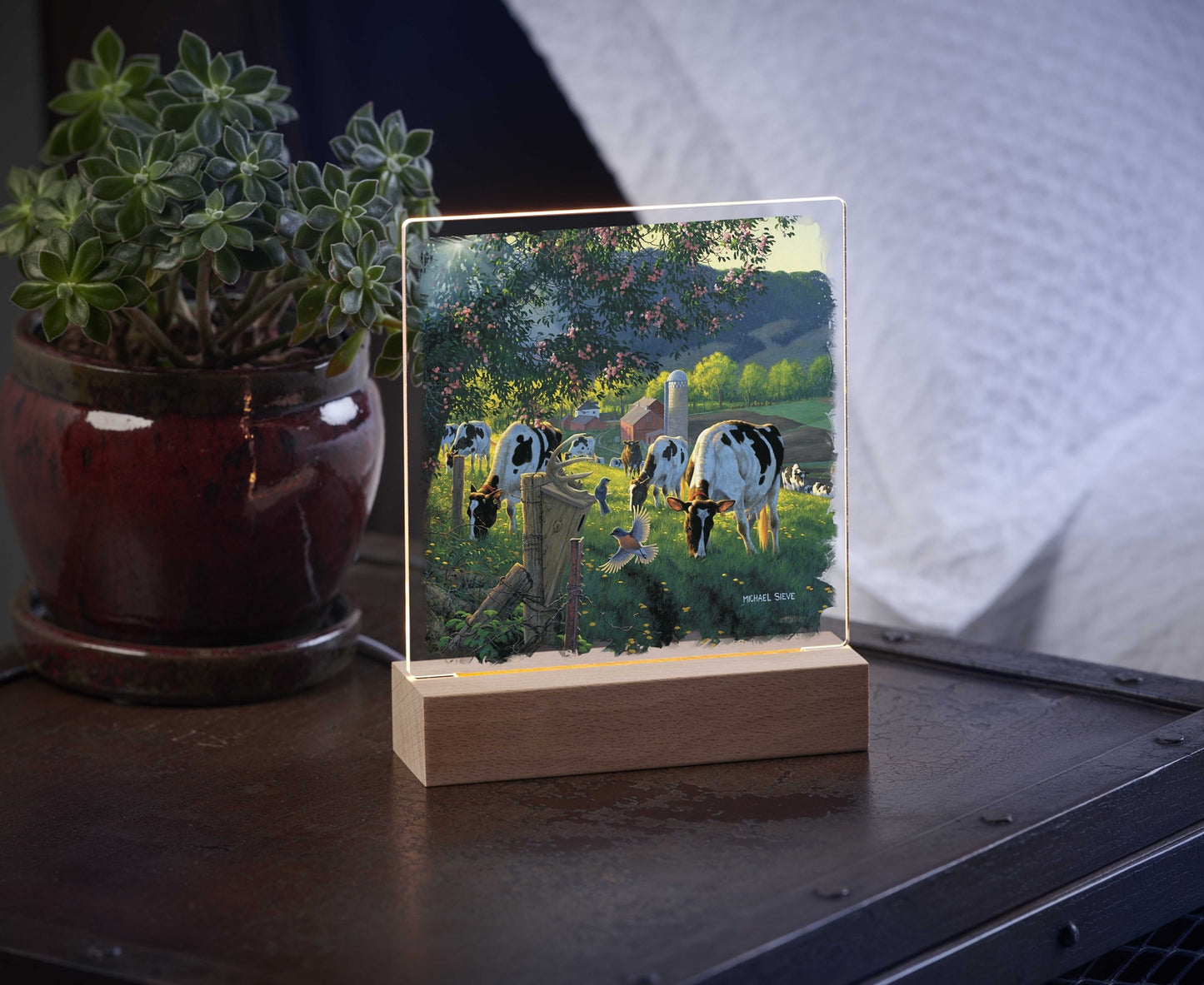 God's Country - Cows - Acrylic Night Light
