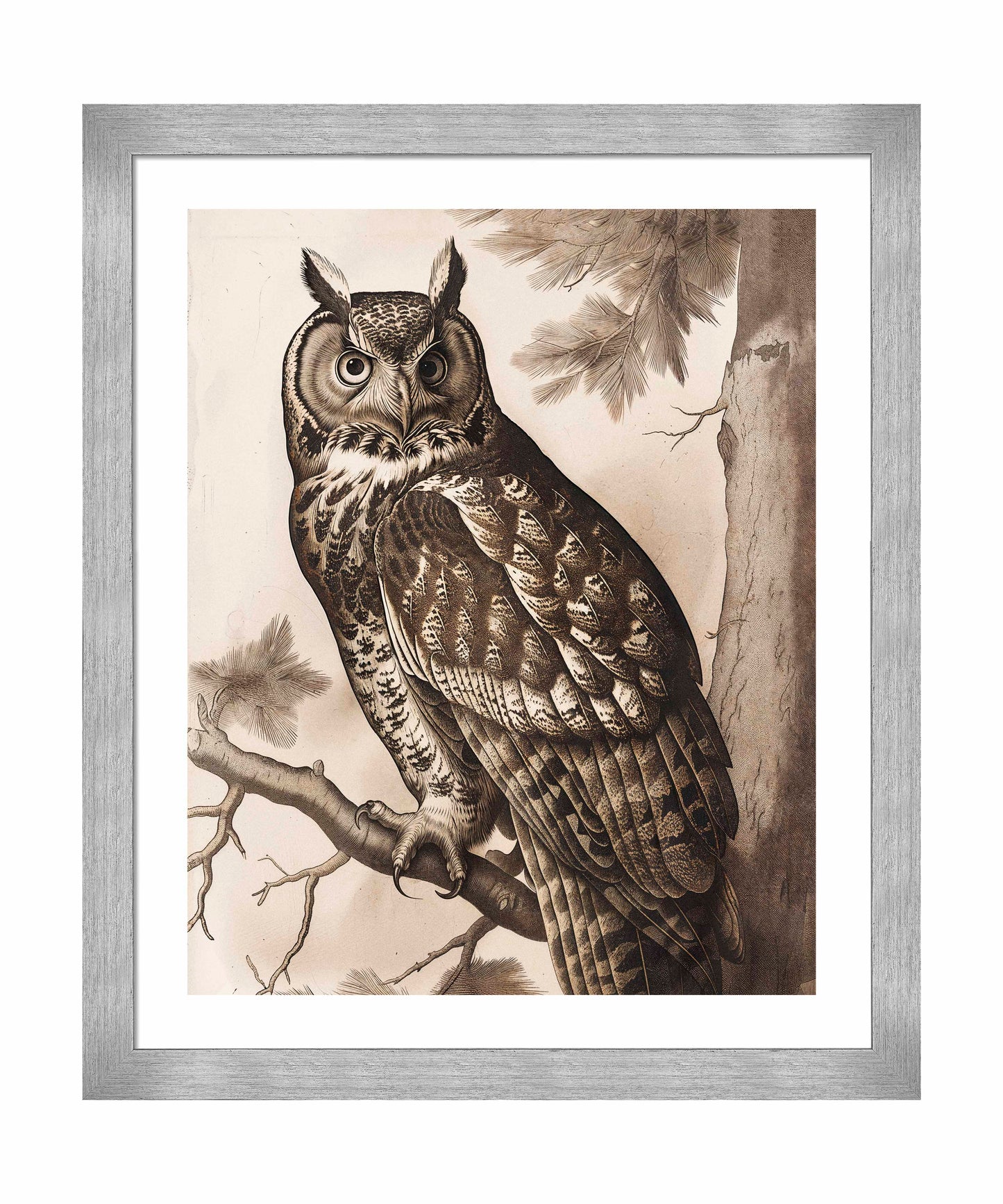 Silent Guardian - Great Horned Owl - Art Prints