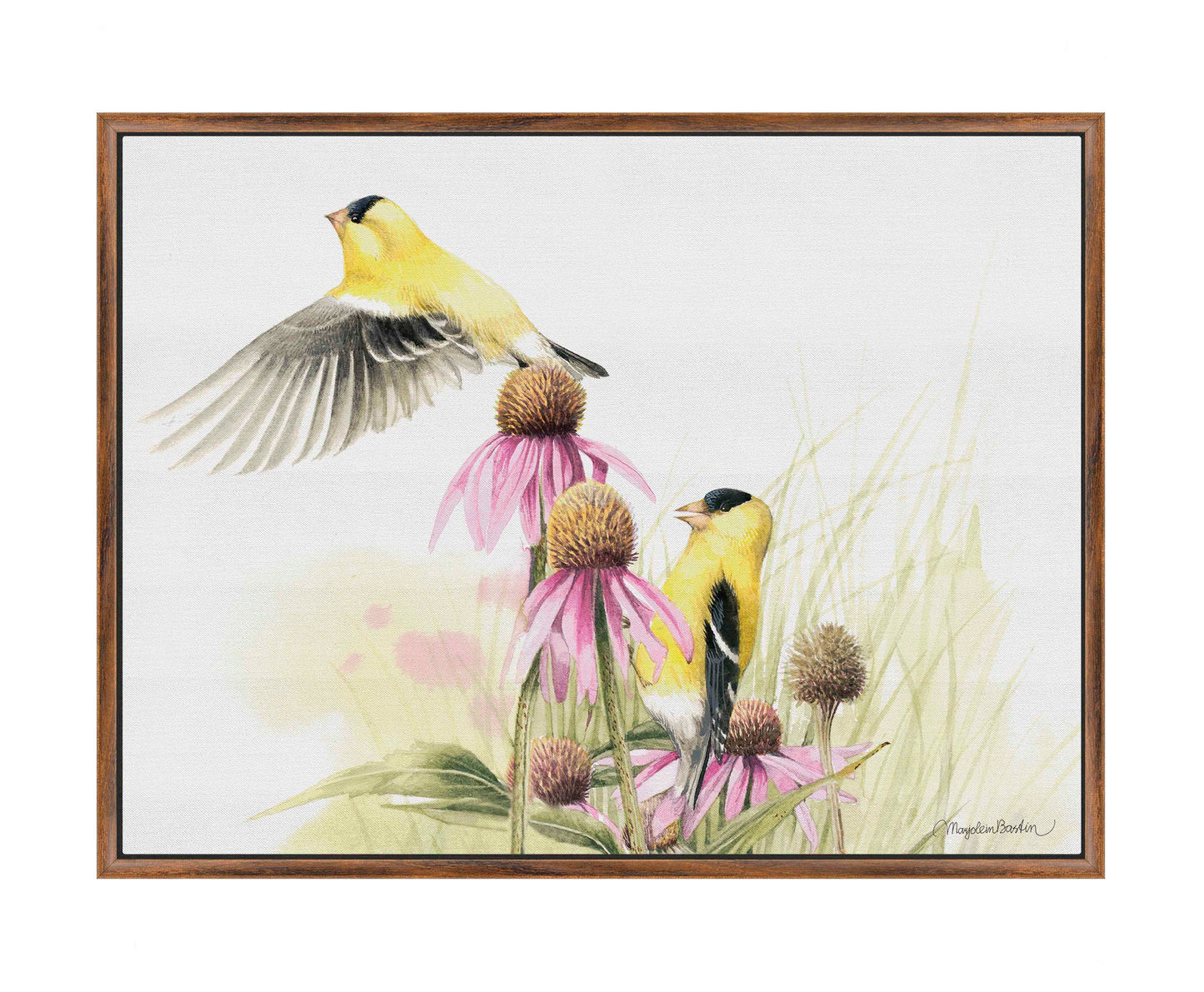 Coneflower Feast - Gallery Wrapped Canvas