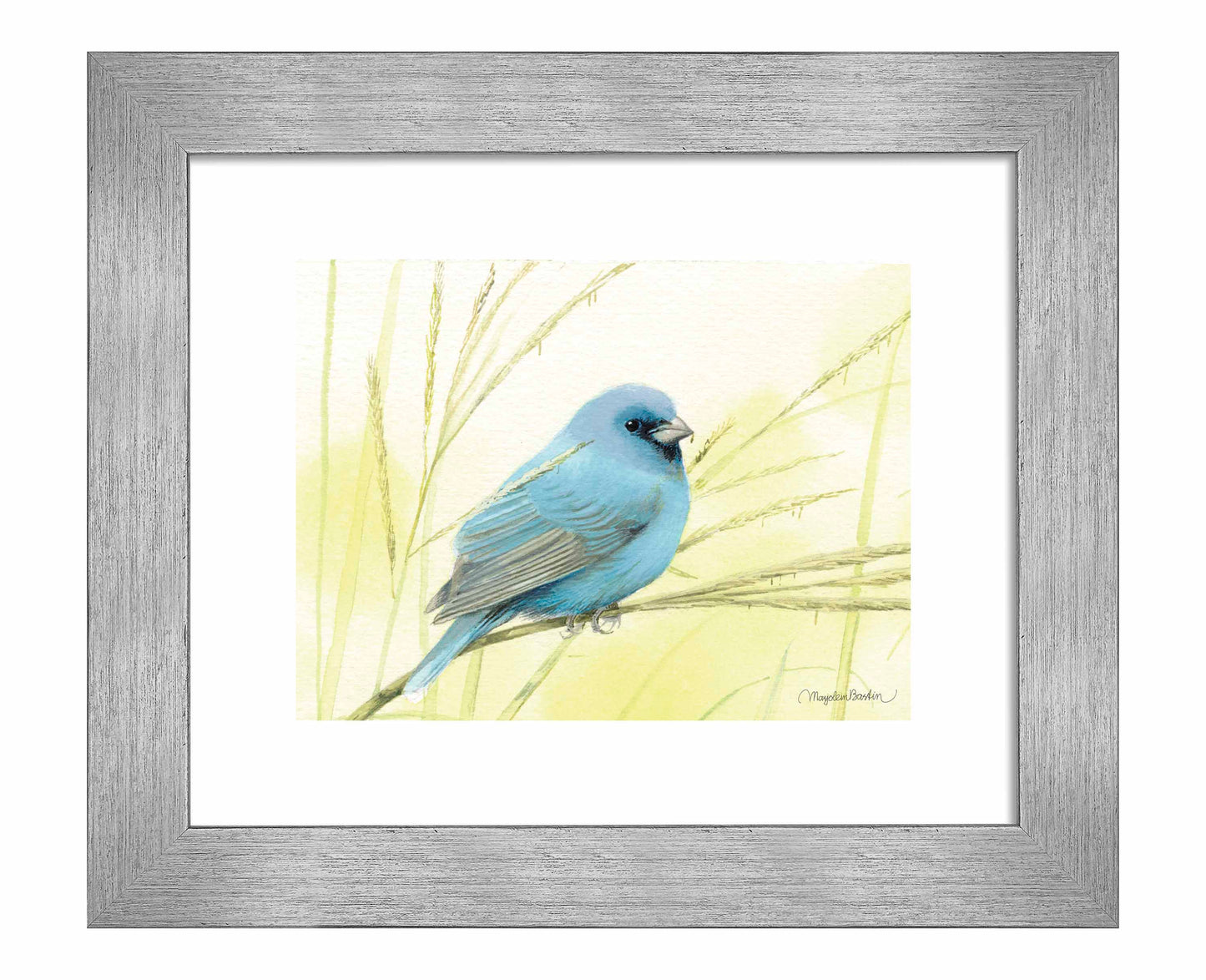 Searching for Seeds - Art Prints