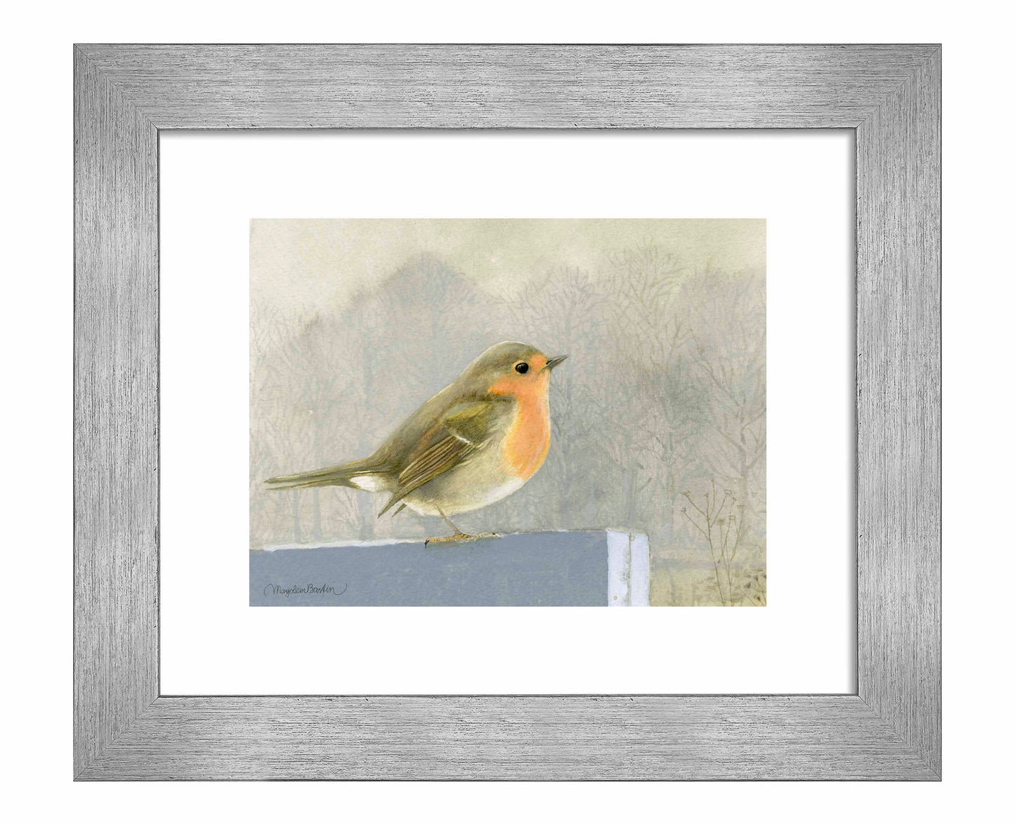 Quiet Reflection - Art Prints