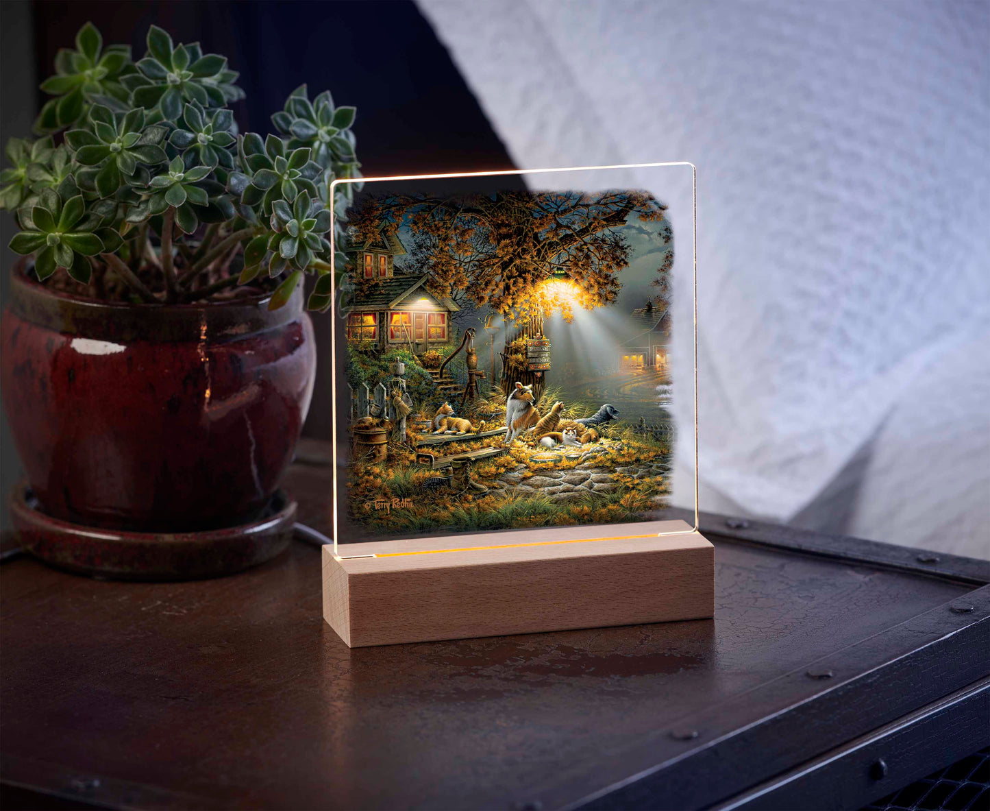 Our Friends - Acrylic Night Light