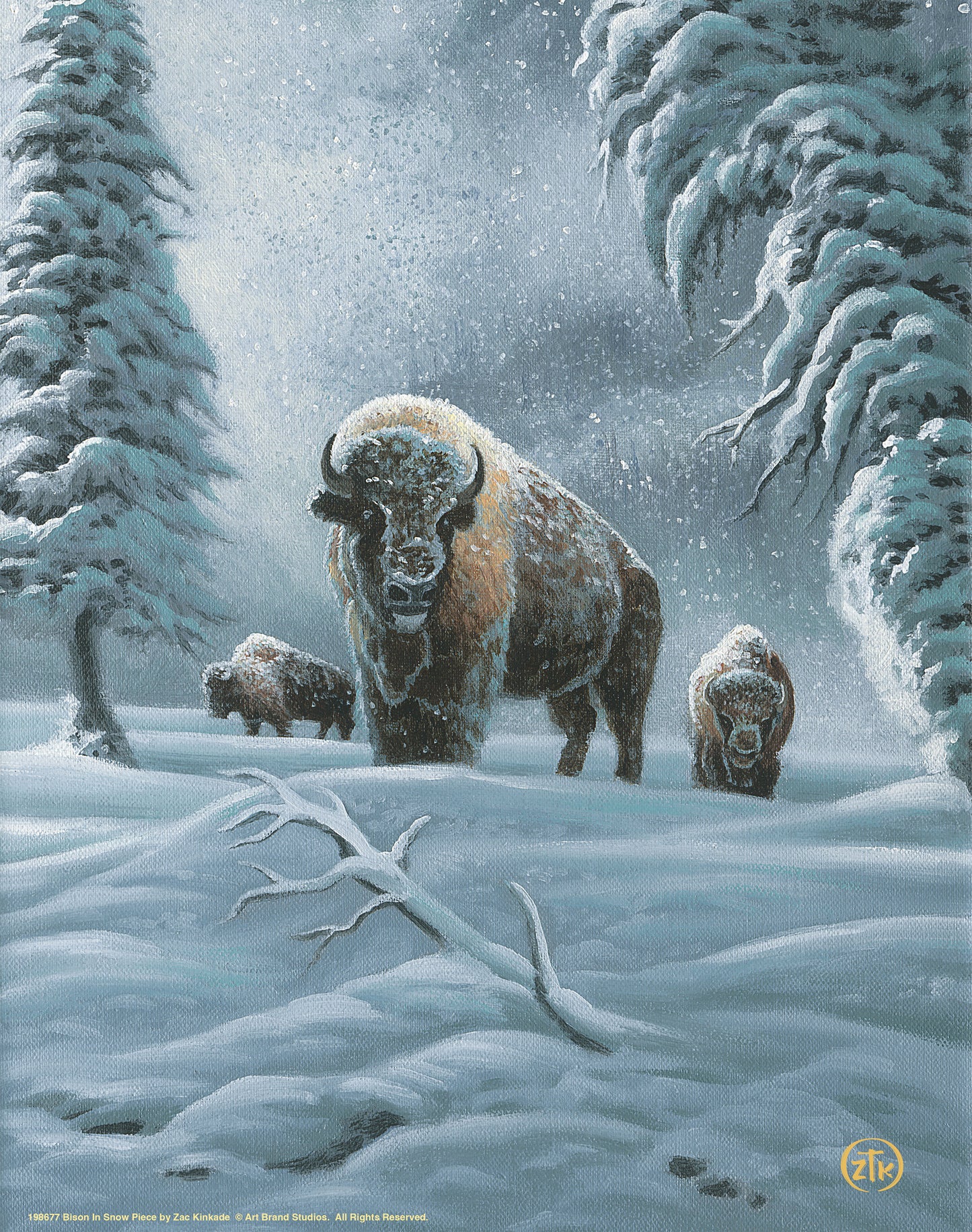 Bison in the Snow - Art Prints