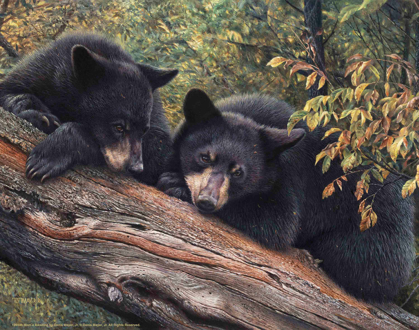 Mom’s Awaiting - Art Prints