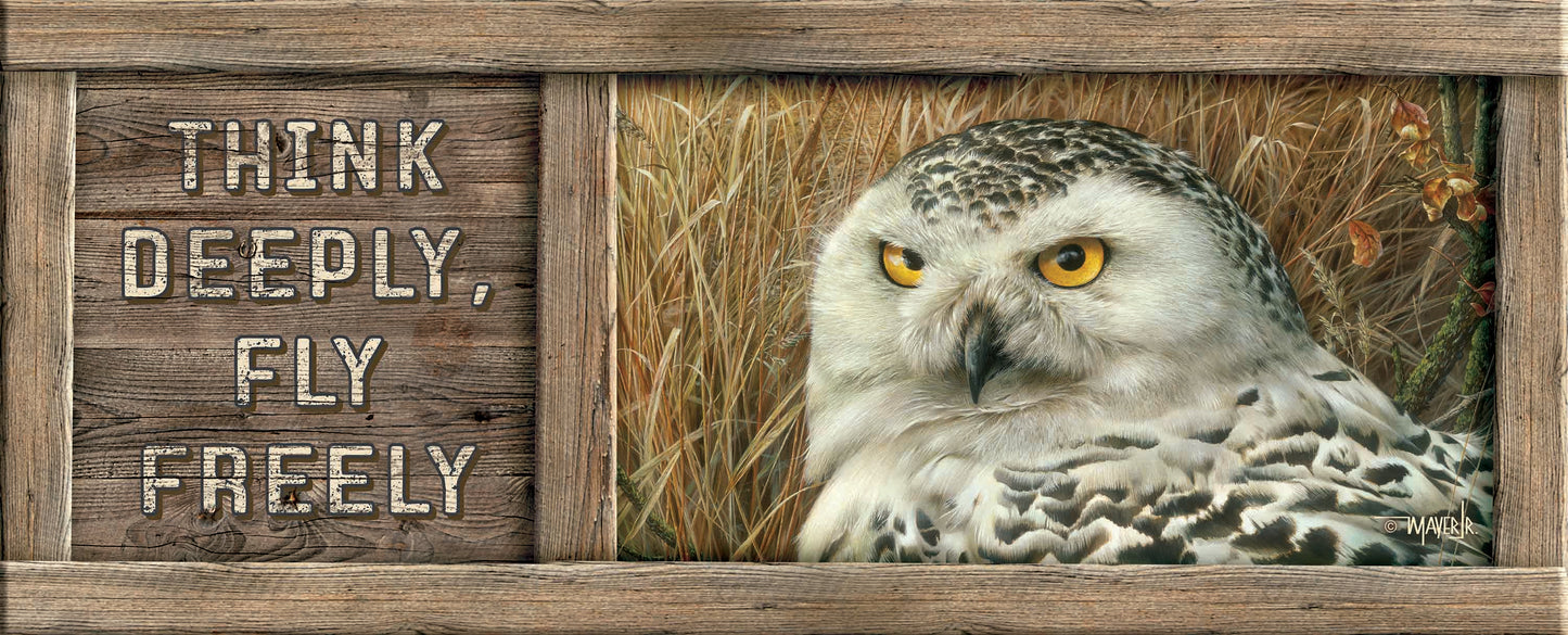 Optical Surveillance - 12" x 30" Wood Sign