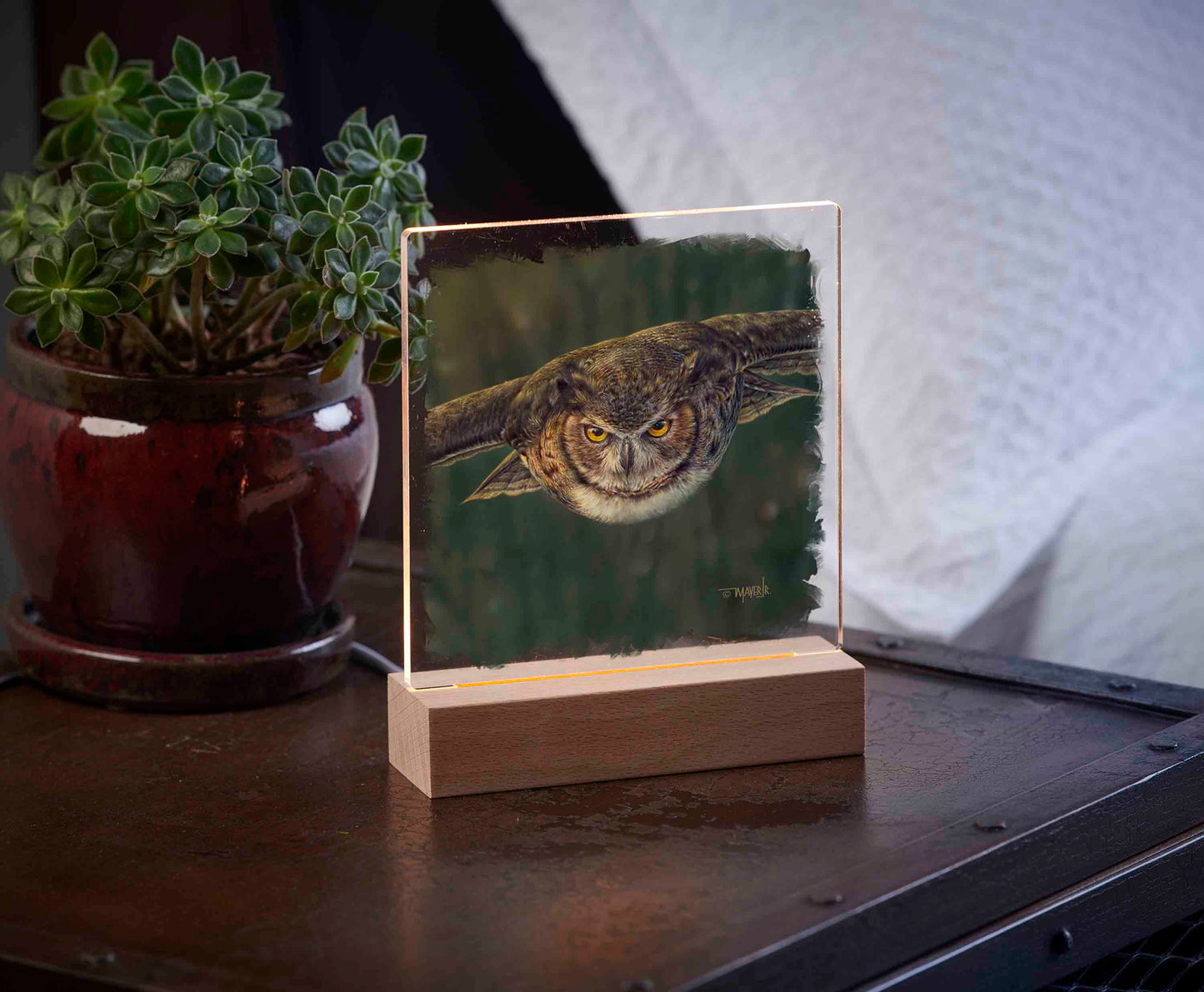 Acrylic night light with an owl