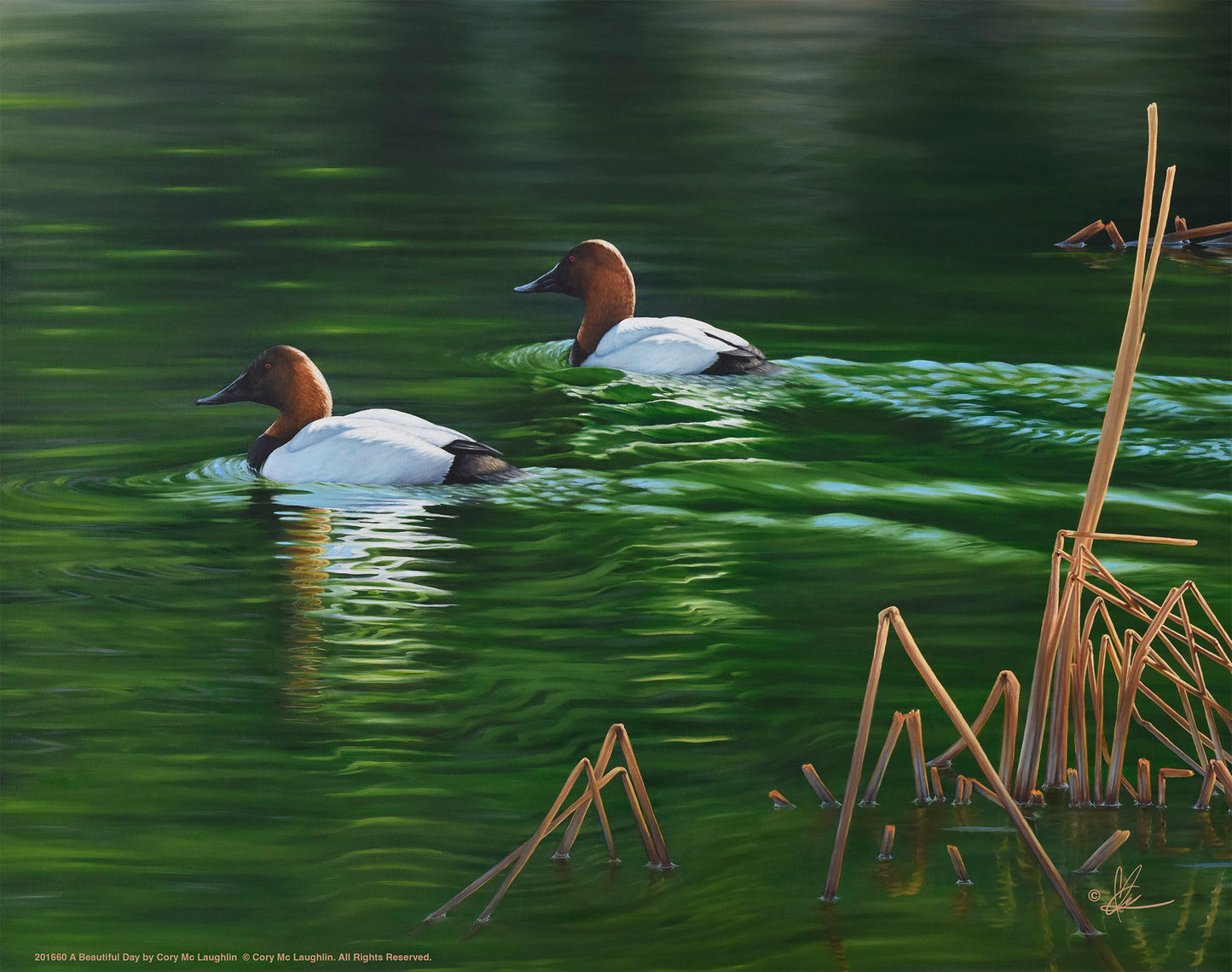 Painting of swimming birds in the river