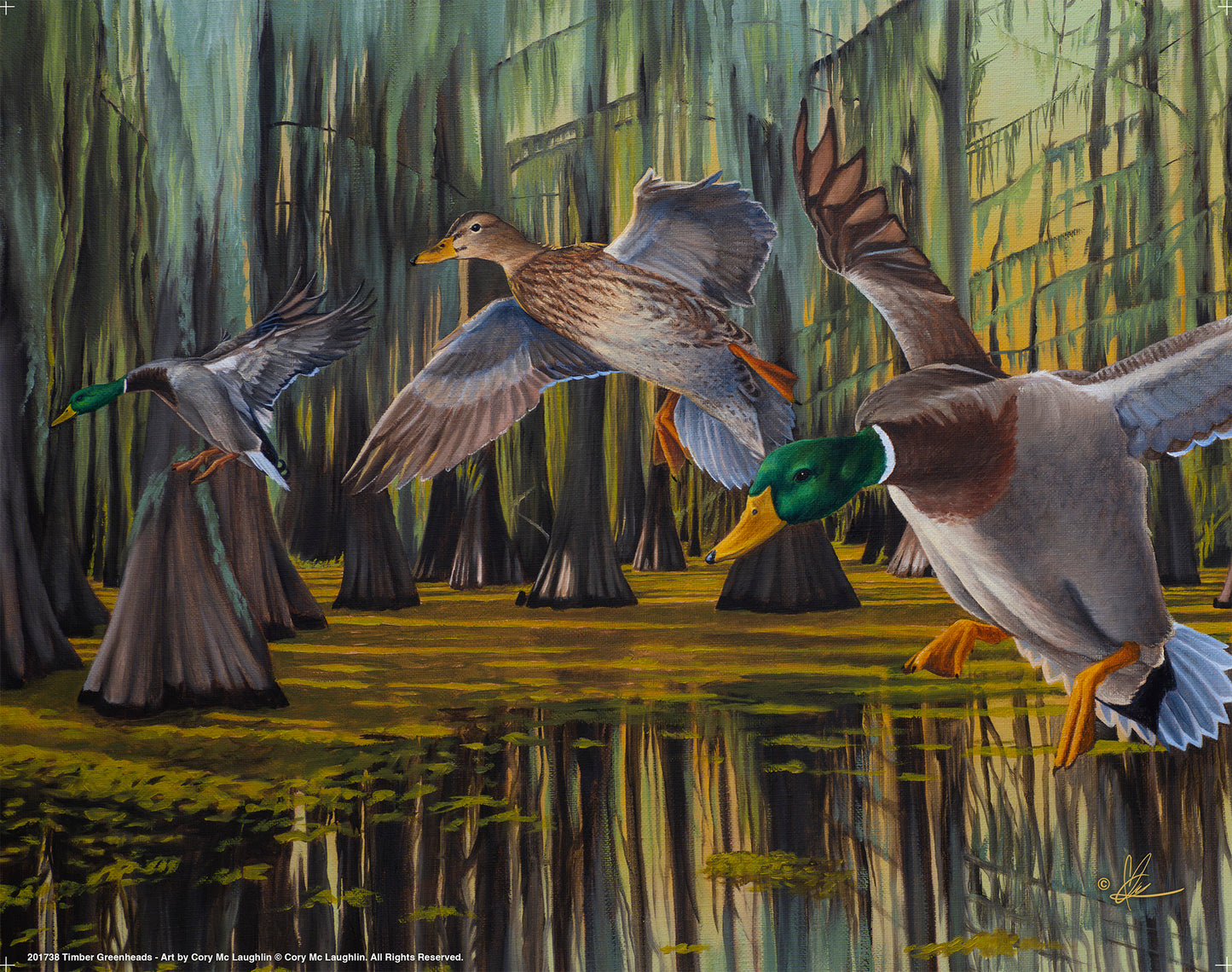 Painting flying birds over the water