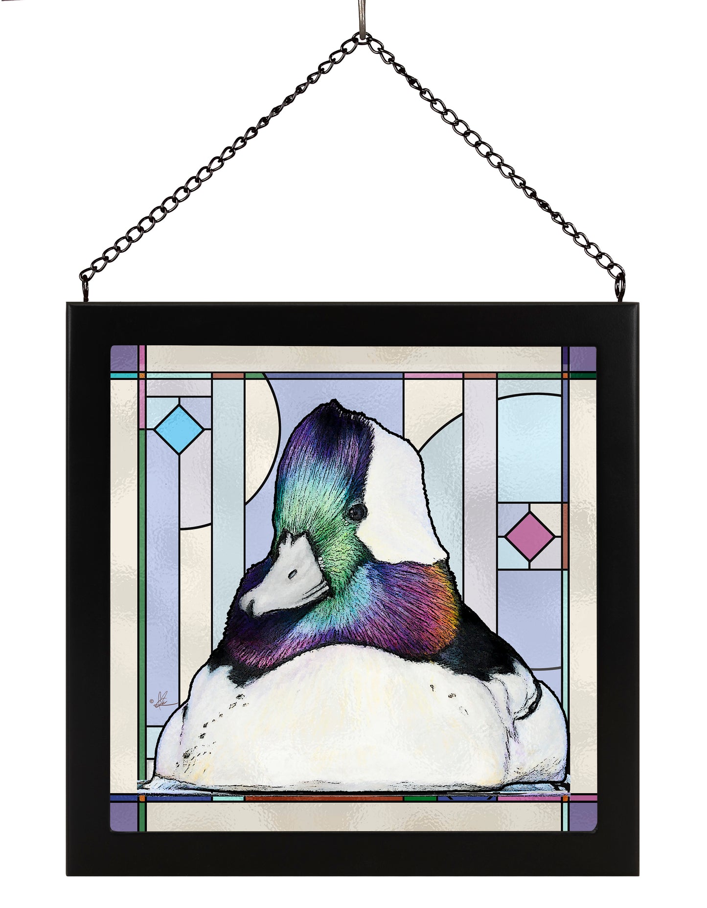 Framed image of a bufflehead