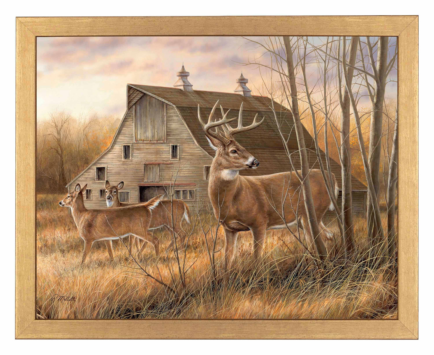 Deserted Farmstead - Art Prints