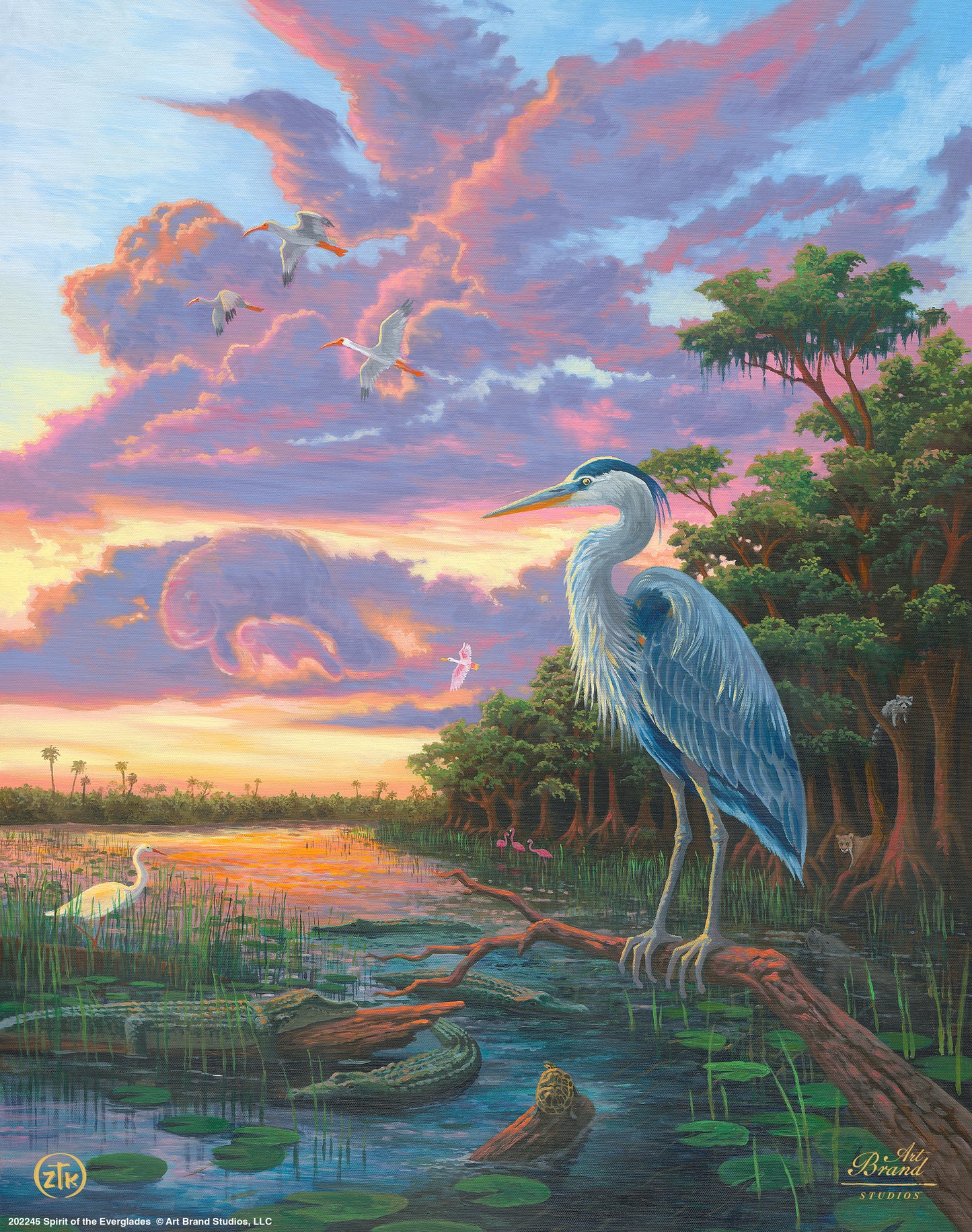Spirit of Everglades - Art Prints