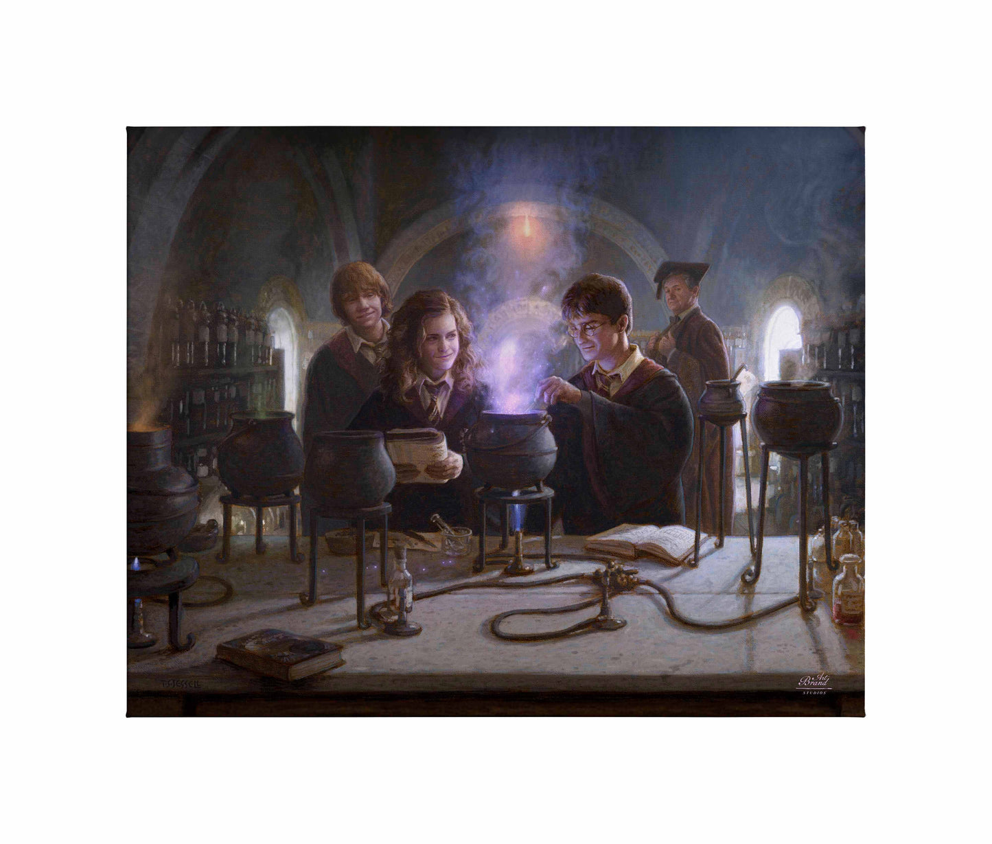 Harry Potter™ Potions Class - 24" x 30" Gallery Wrapped Canvas
