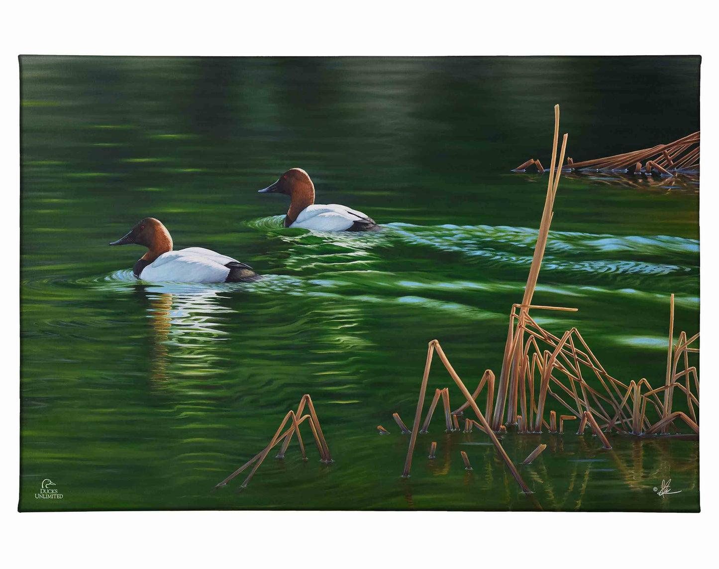 A Beautiful Day Gallery Wrapped Canvas - Official Ducks Unlimited Art