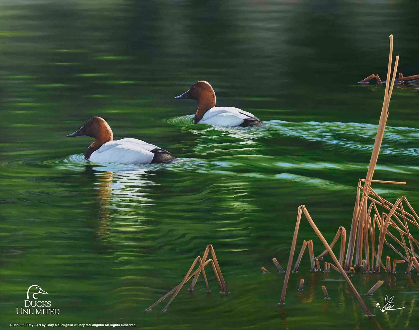 A Beautiful Day Art Prints - Official Ducks Unlimited Art