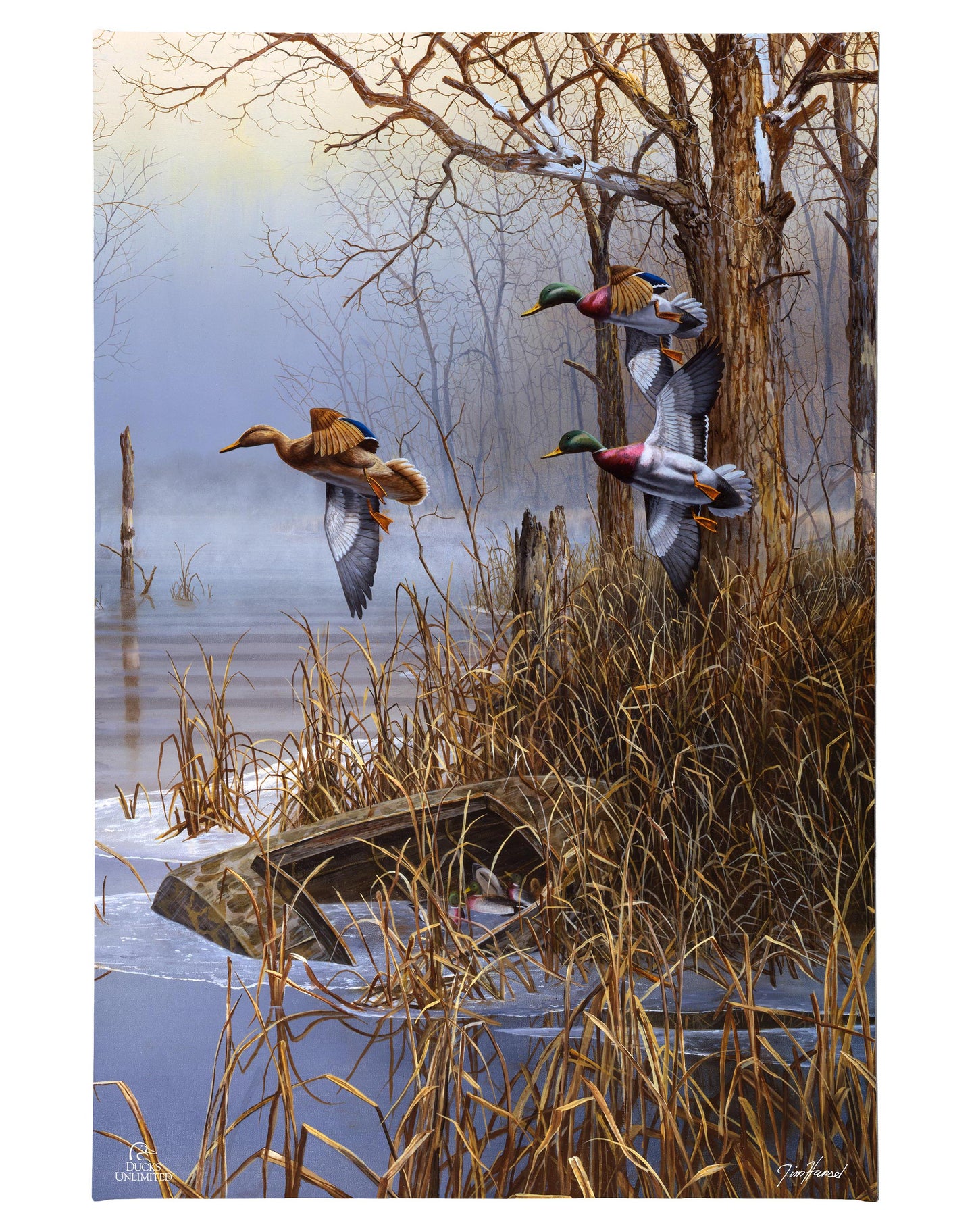 After the Thaw Gallery Wrapped Canvas - Official Ducks Unlimited Art
