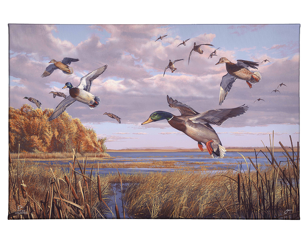 Autumn Rendezvous Gallery Wrapped Canvas - Official Ducks Unlimited Art