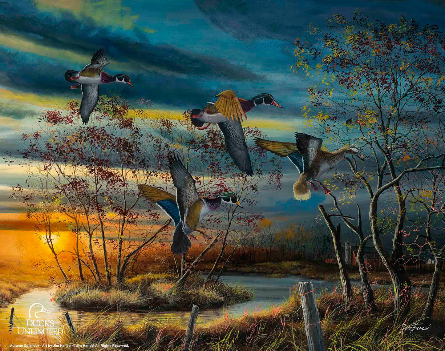 Autumn Splendor Art Prints - Official Ducks Unlimited Art