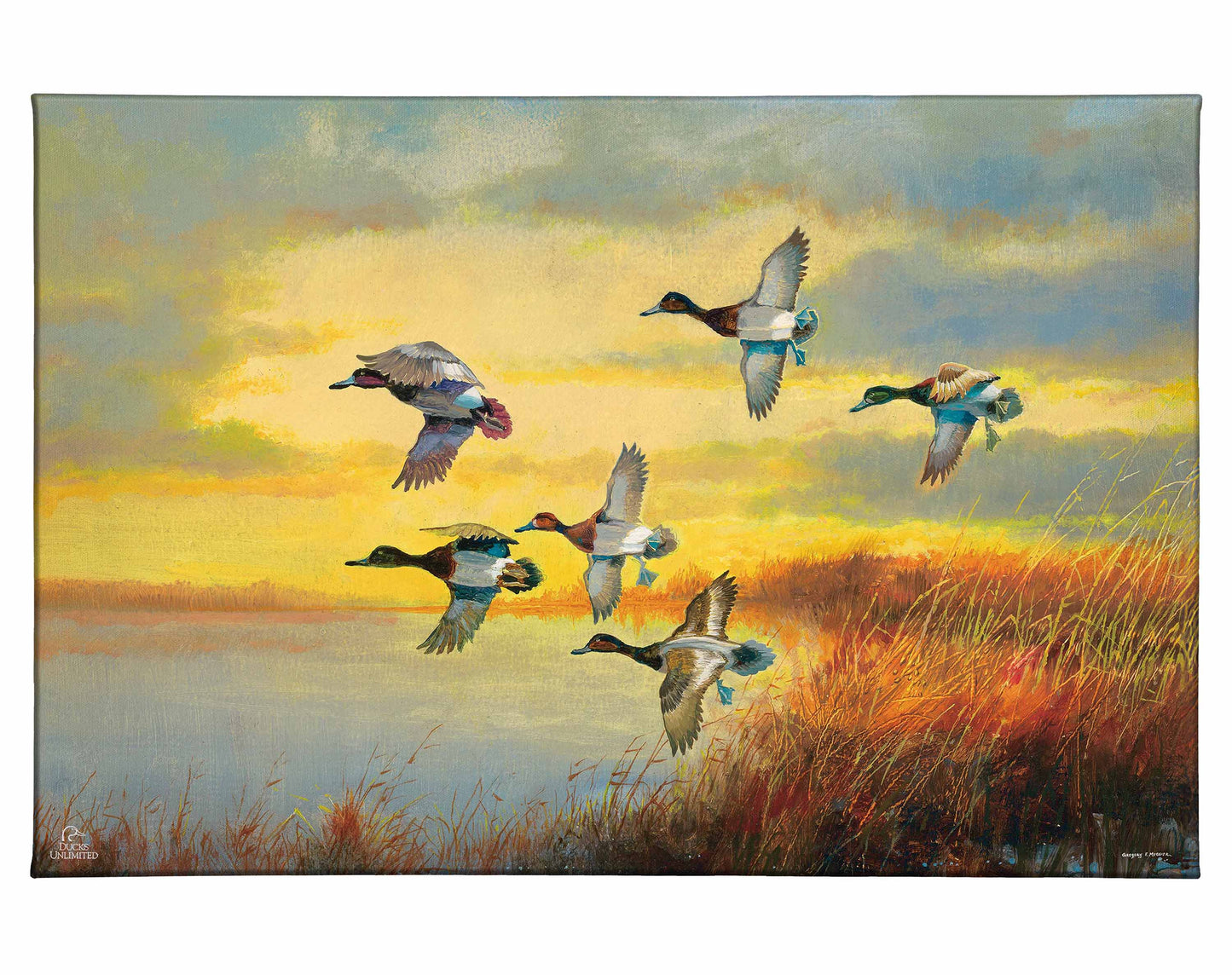 Autumn Sunrise - Bluebills Gallery Wrapped Canvas - Official Ducks Unlimited Art